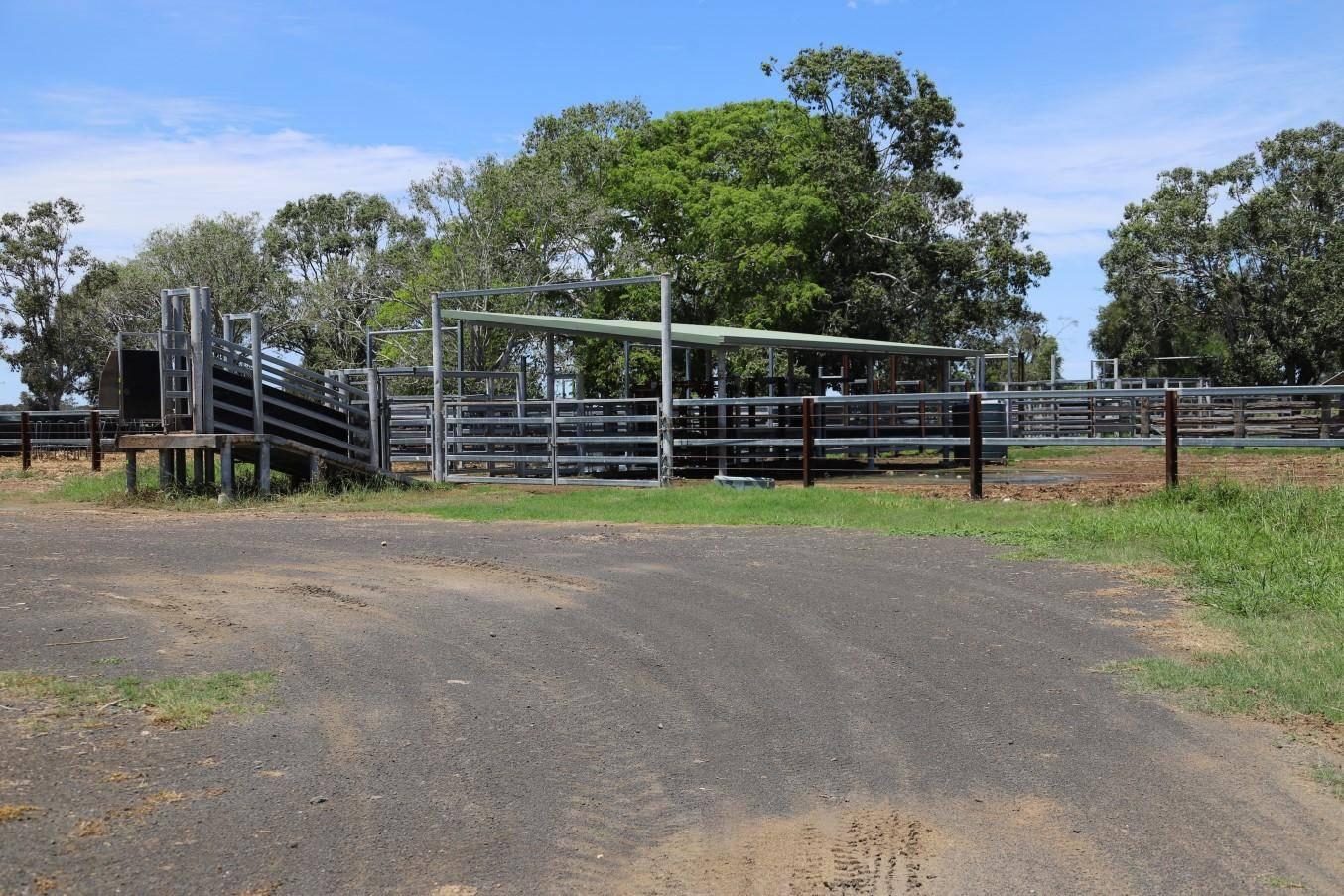 Cattle Properties For Sale Qld Unique Aggregation Near Rockhampton