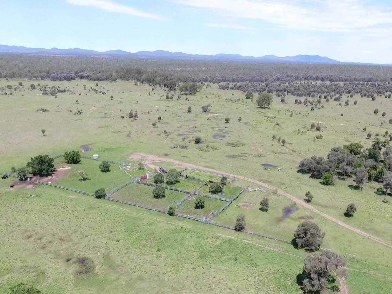 Cattle Property For Sale Qld