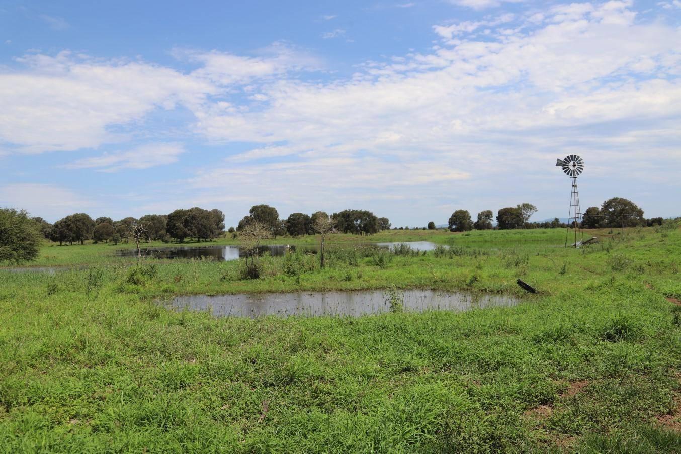 Cattle Property For Sale Qld