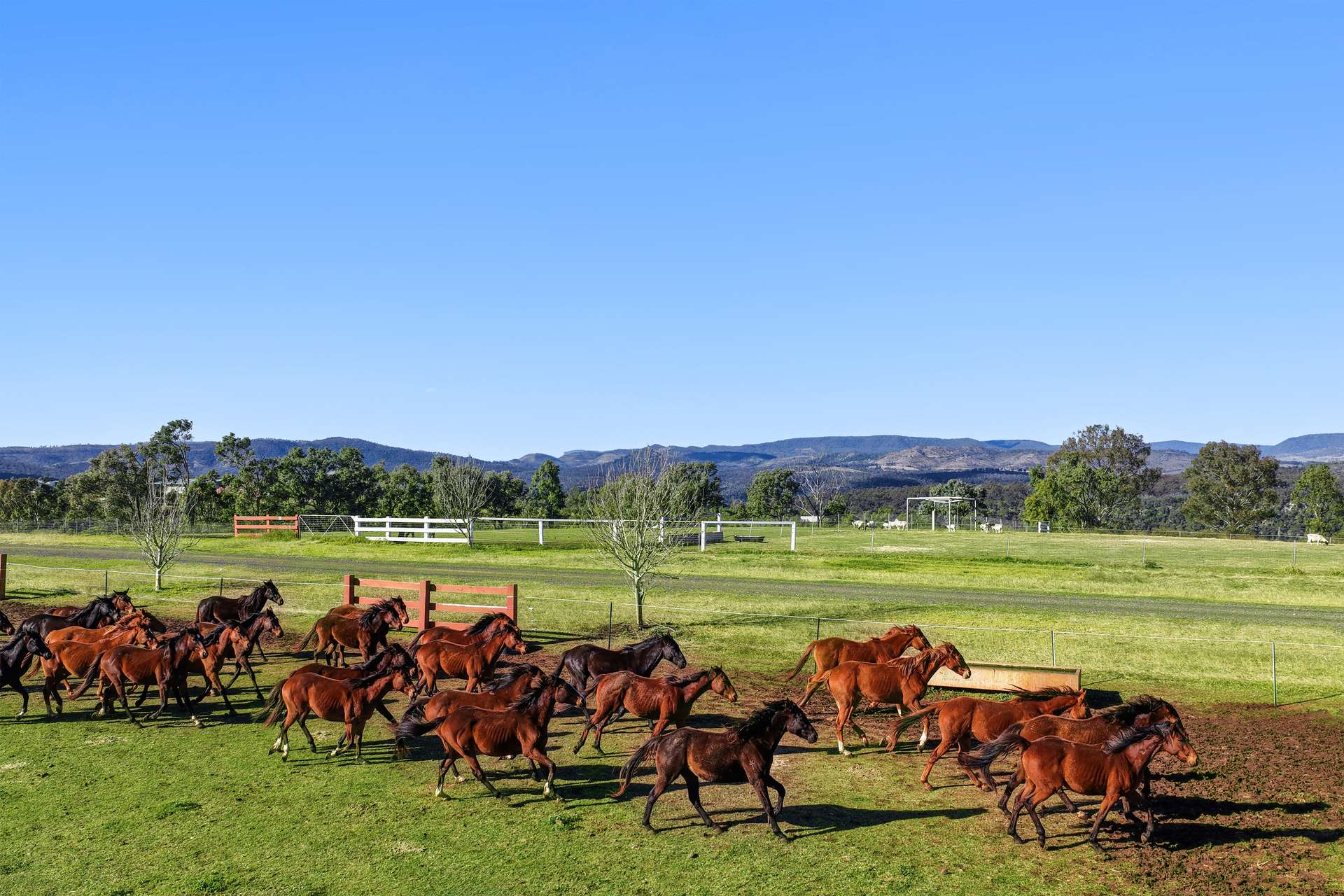 rural property for sale QLD