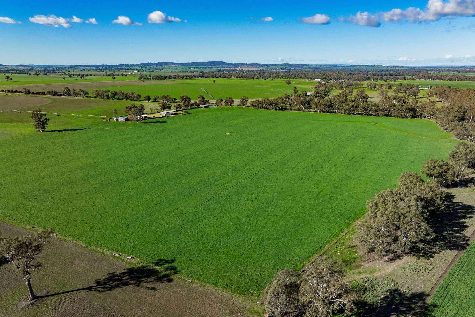 rural lifestyle property for sale NSW