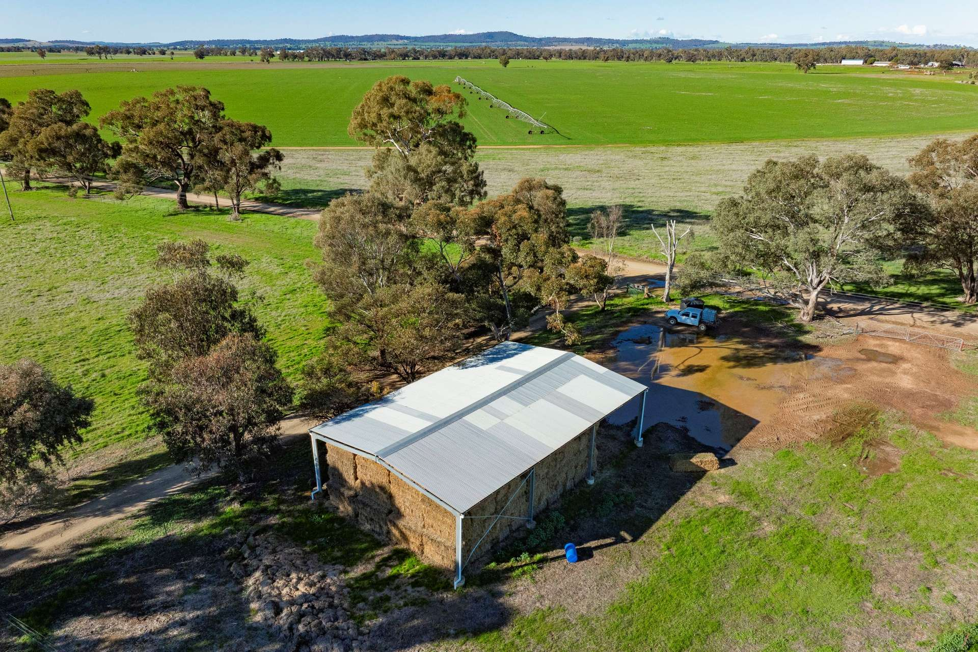 rural lifestyle property for sale NSW