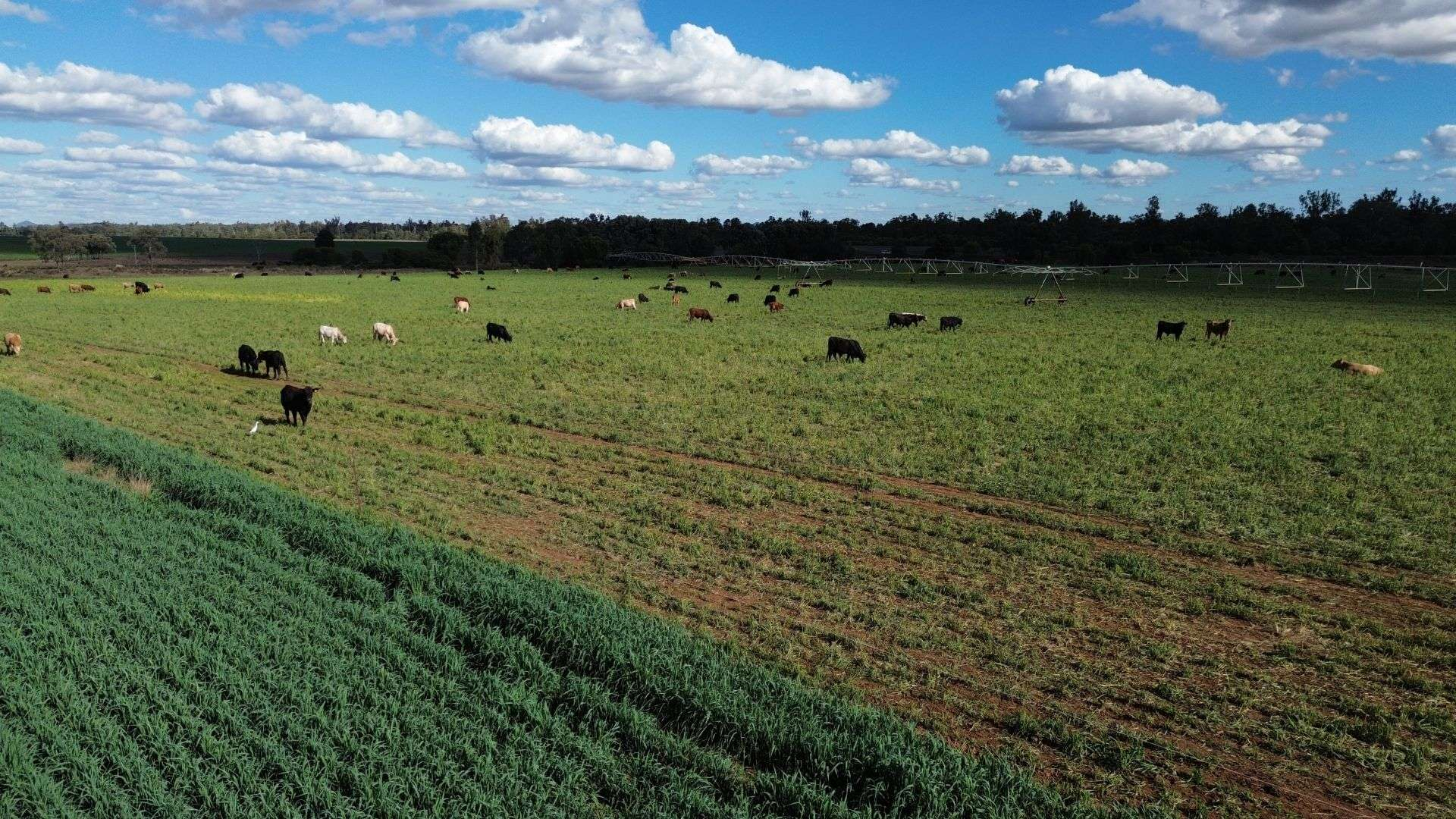 Mixed Farm For Sale QLD