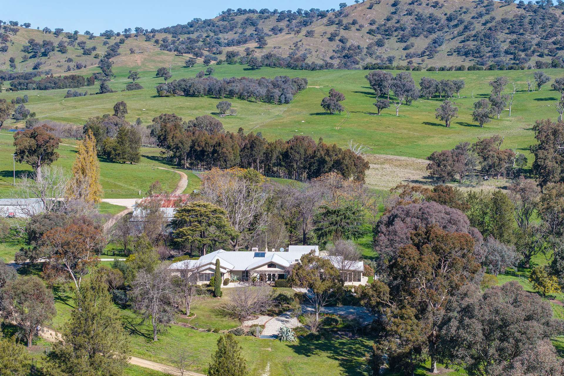 Cattle Property For Sale NSW
