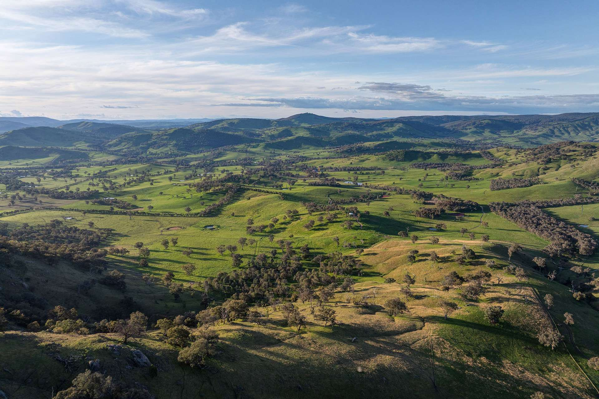 Cattle Property For Sale NSW