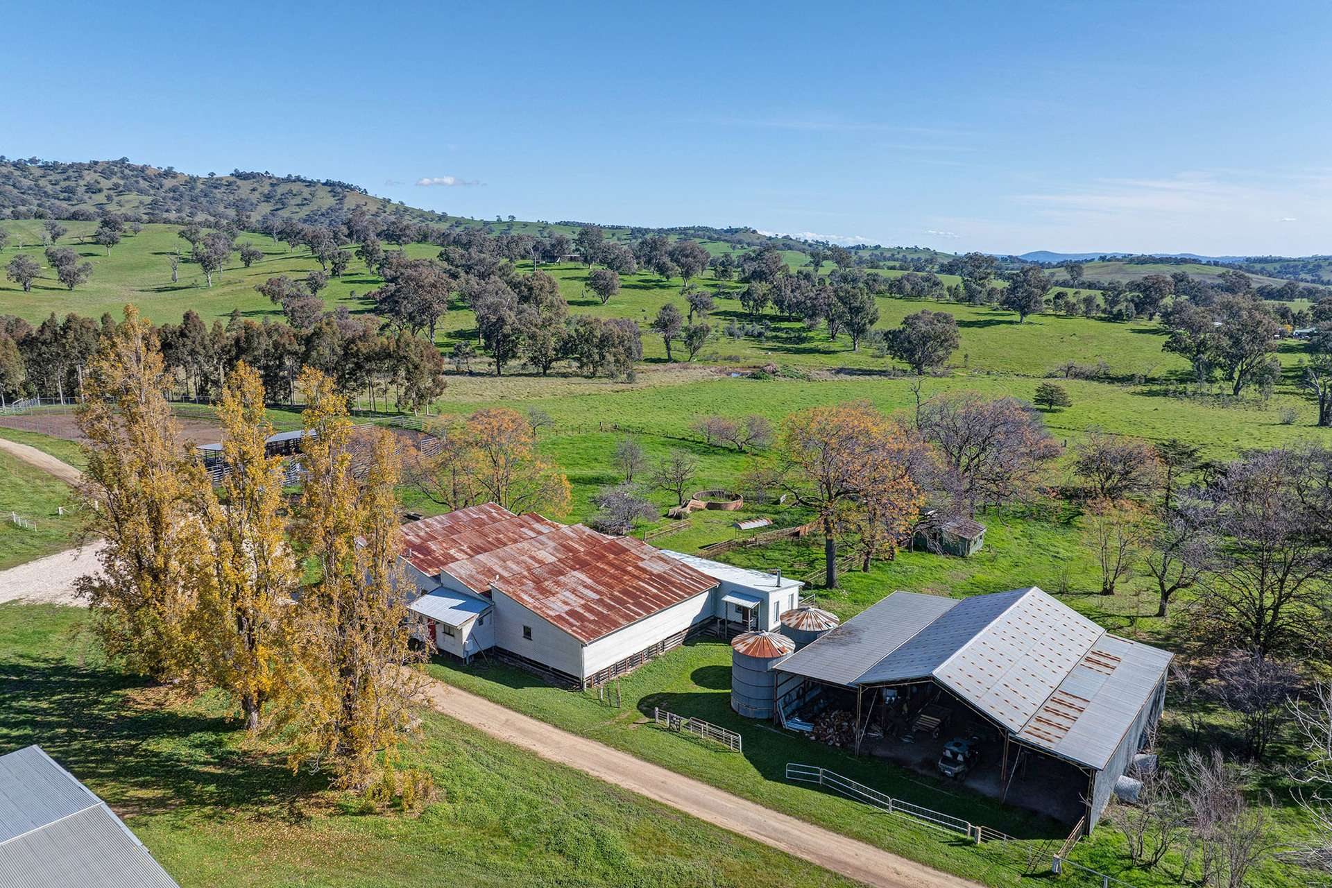 Cattle Property For Sale NSW