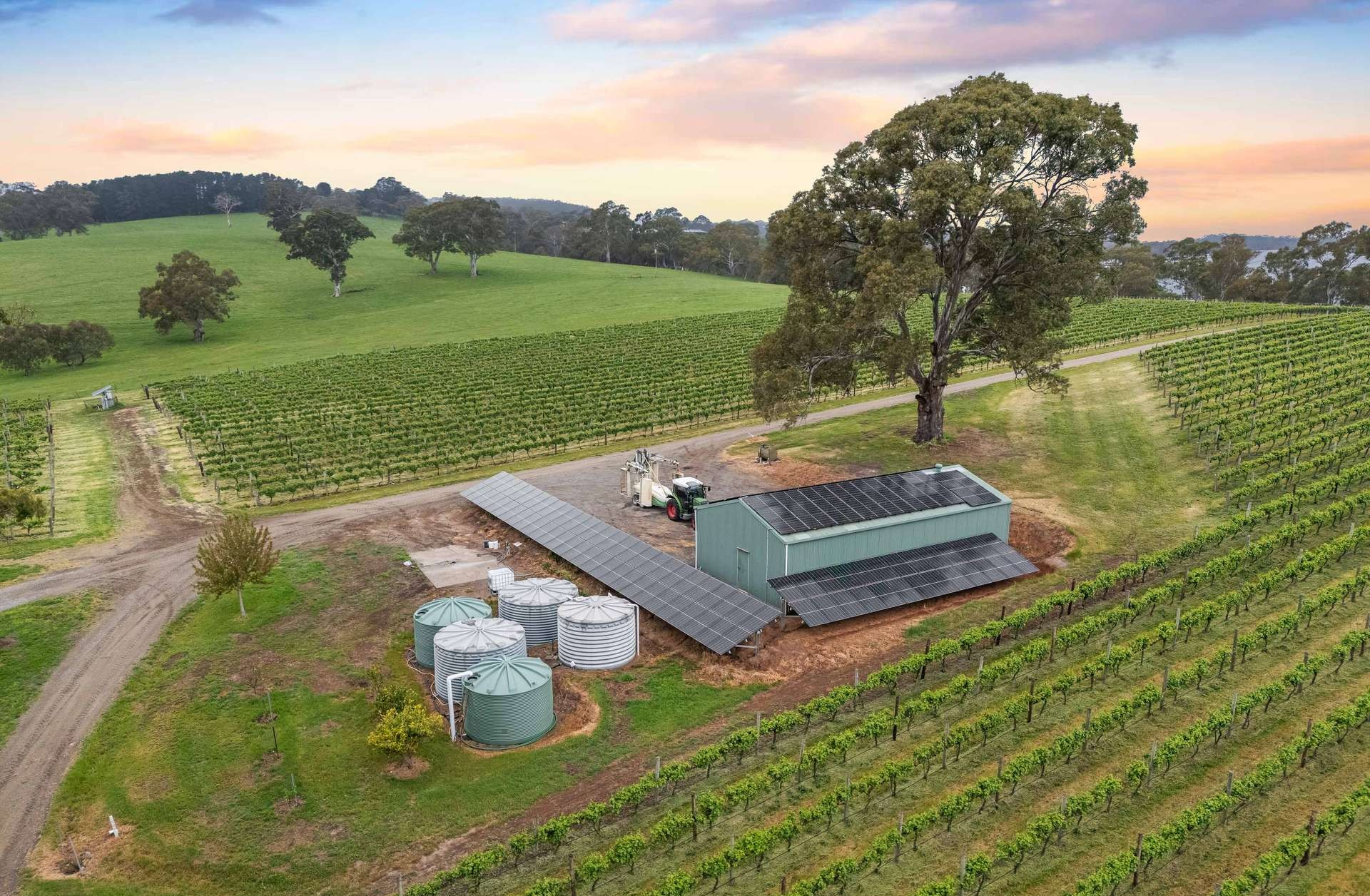 vineyard for sale SA