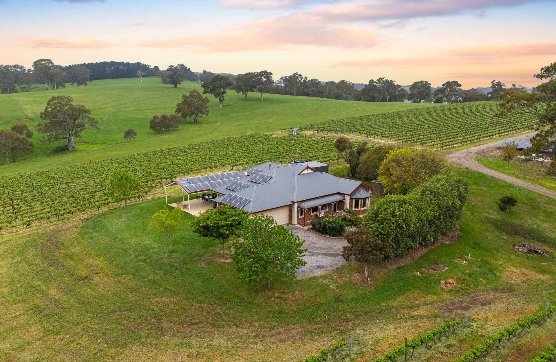 vineyard for sale SA