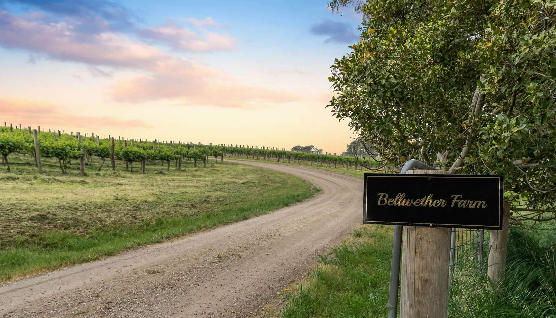 vineyard for sale SA