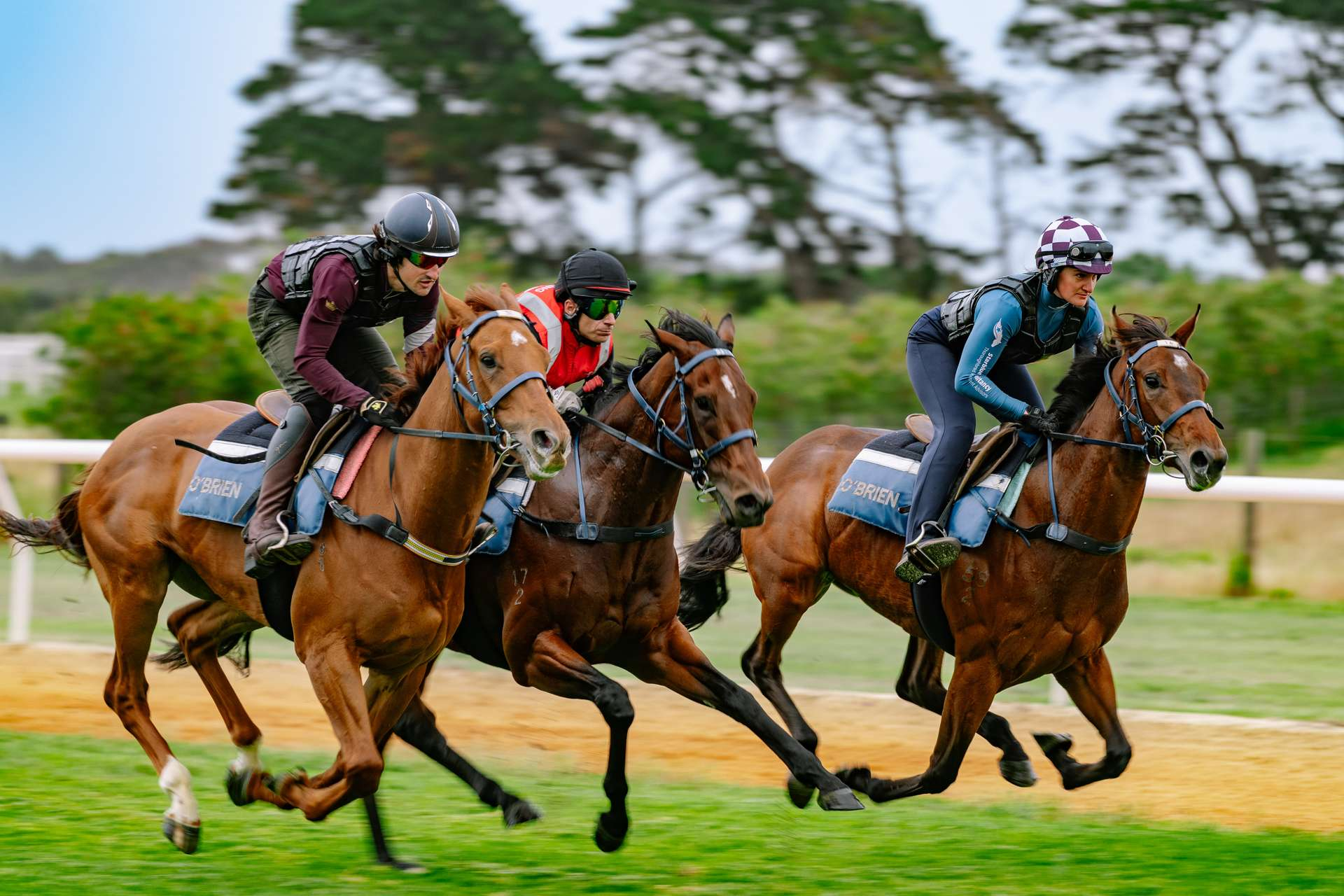 horse property for sale VIC