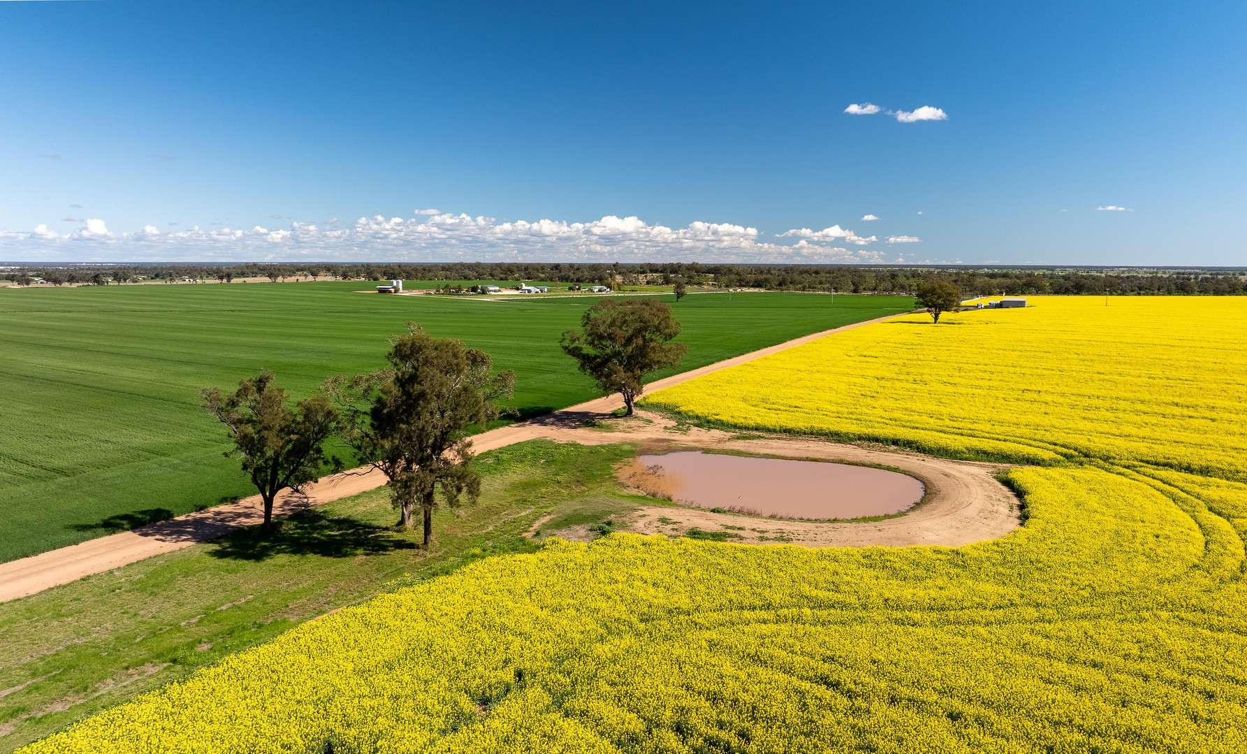 farm for sale NSW