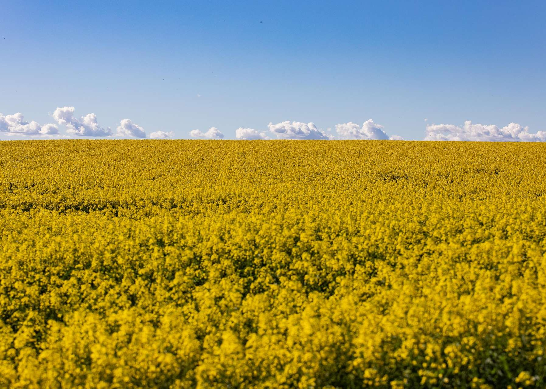farm for sale NSW