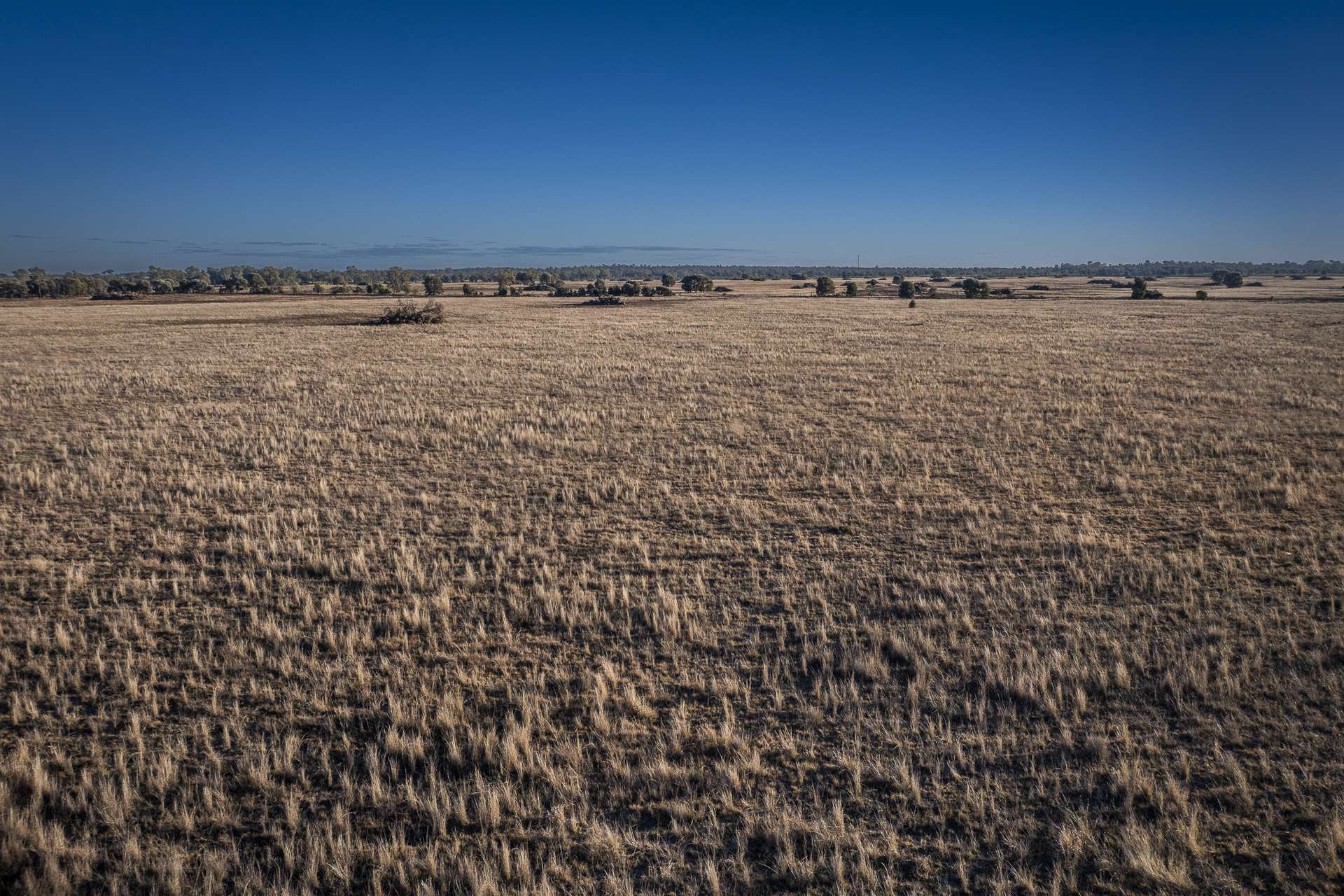 Mixed Farm For Sale QLD