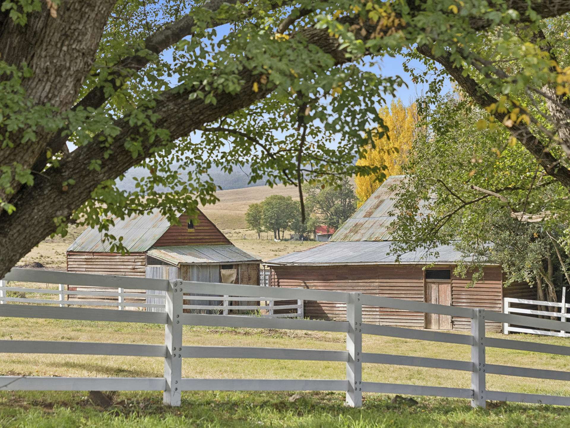 rural property for sale NSW