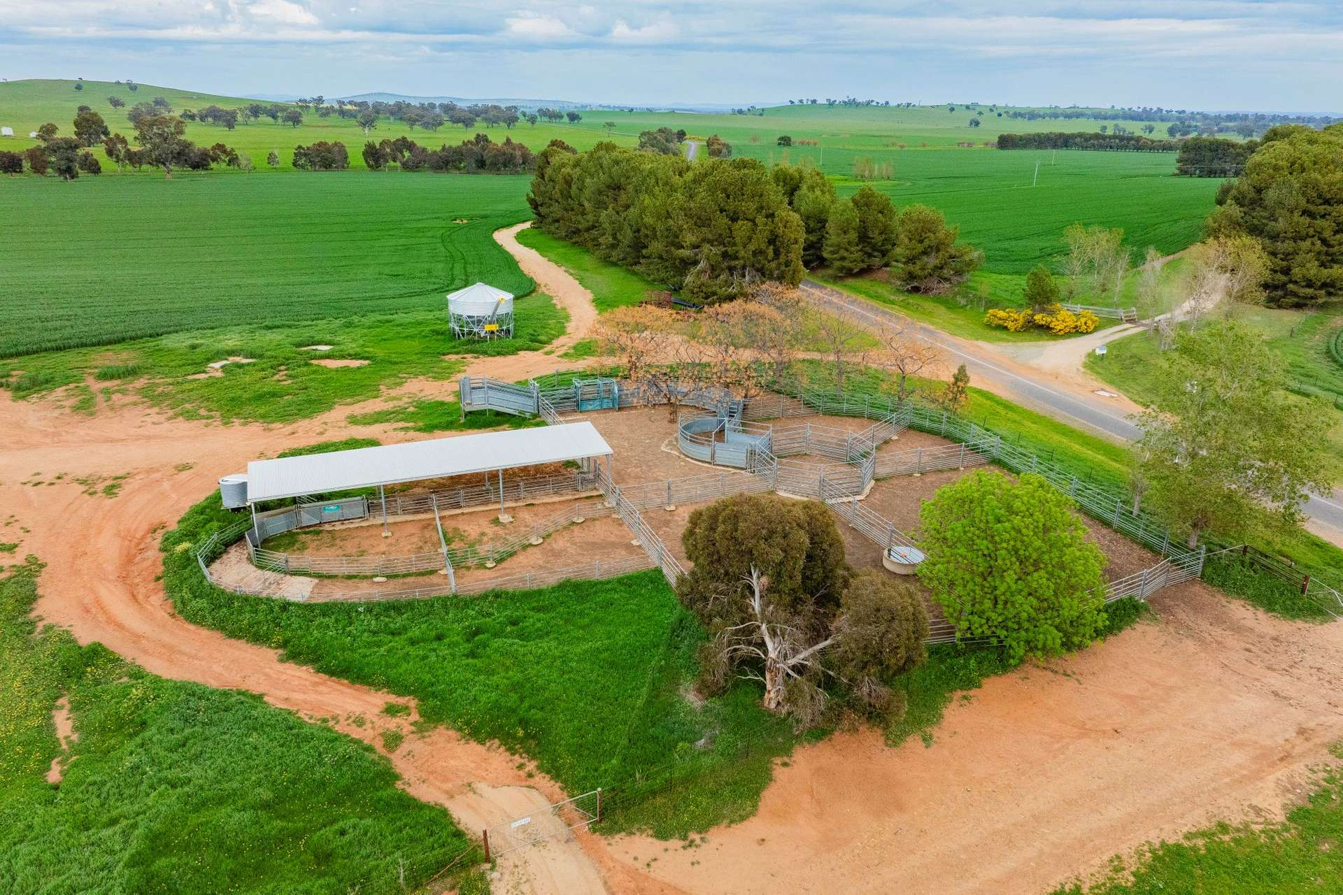 mixed farm for sale NSW