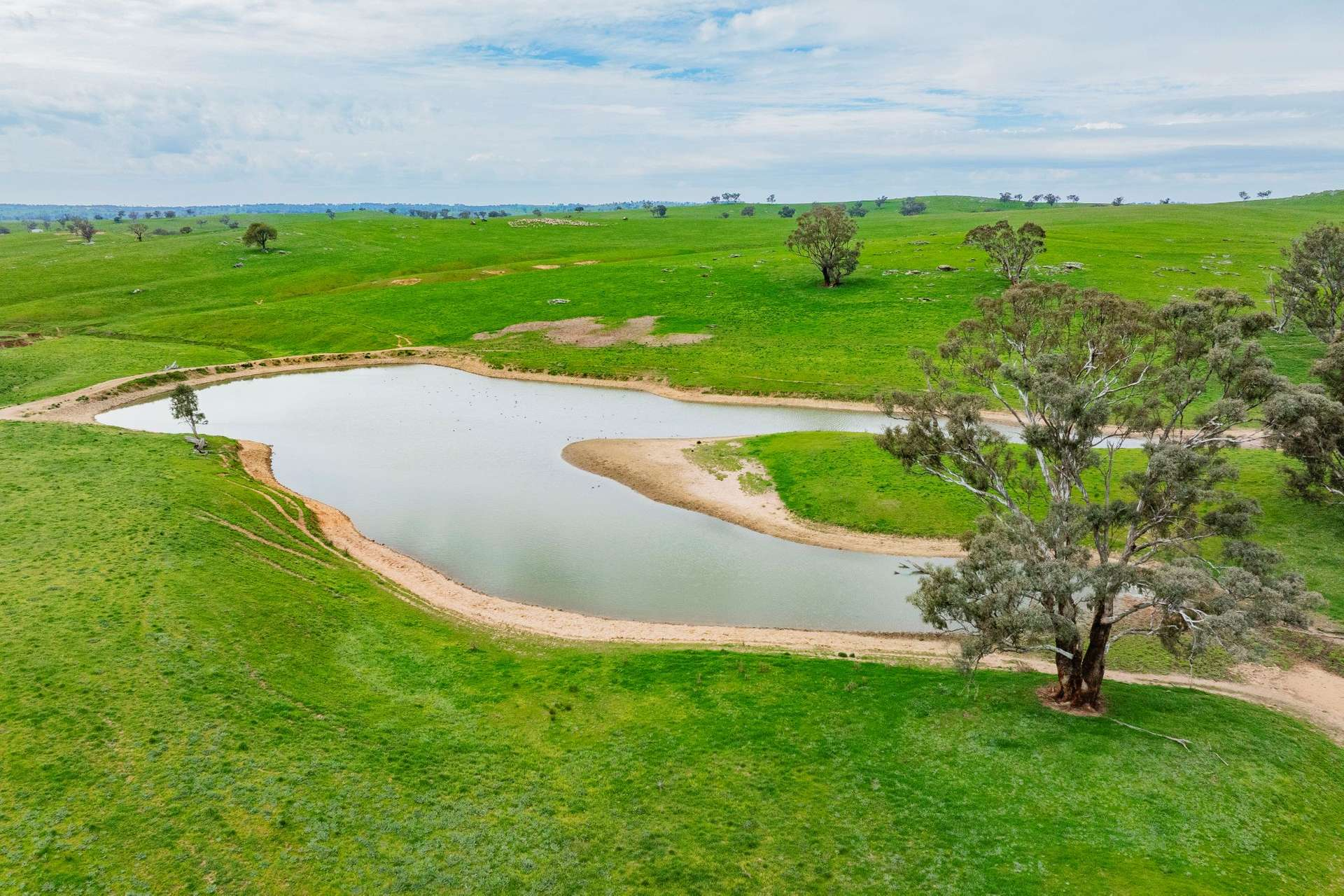 mixed farm for sale NSW
