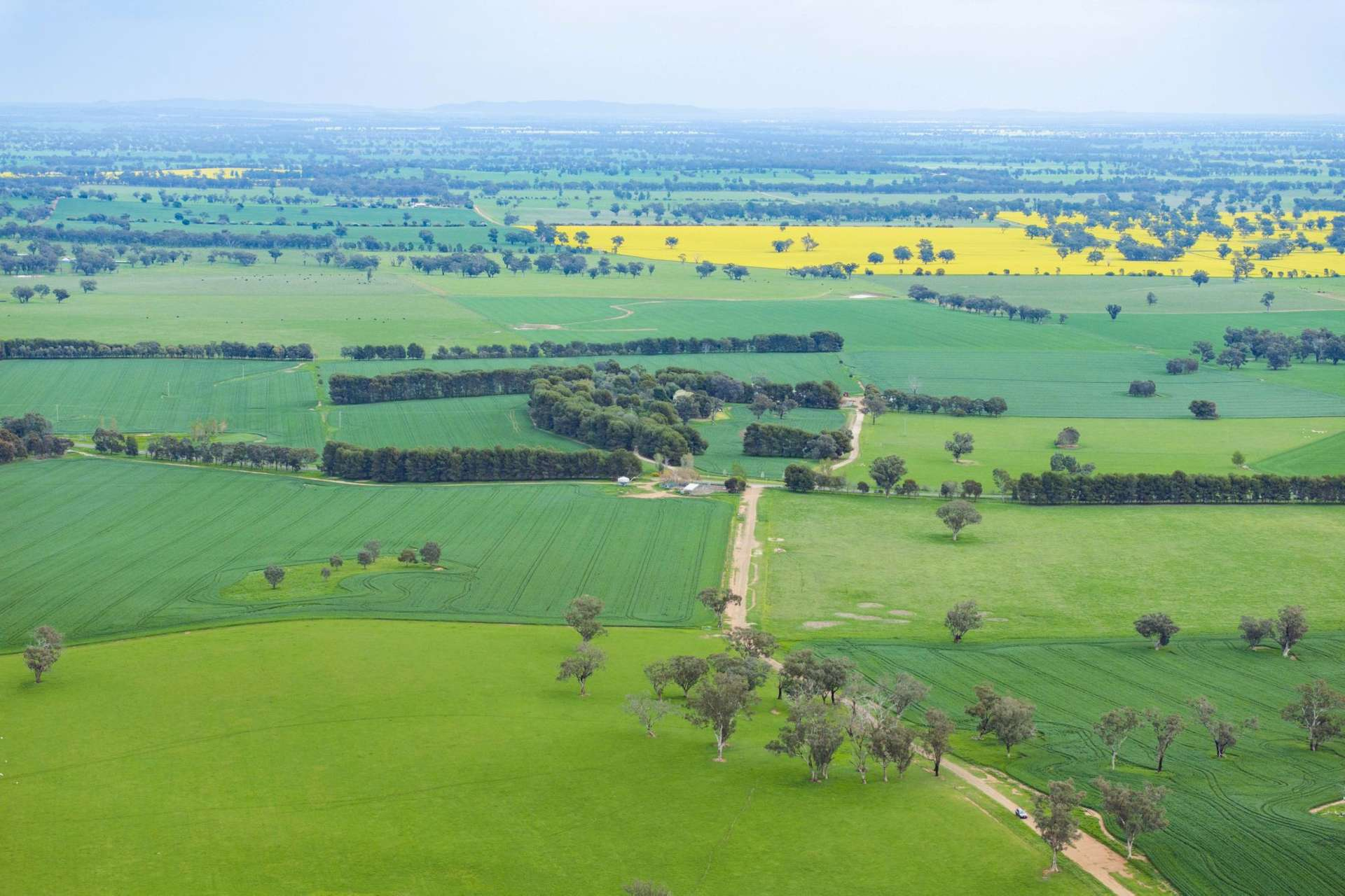 mixed farm for sale NSW