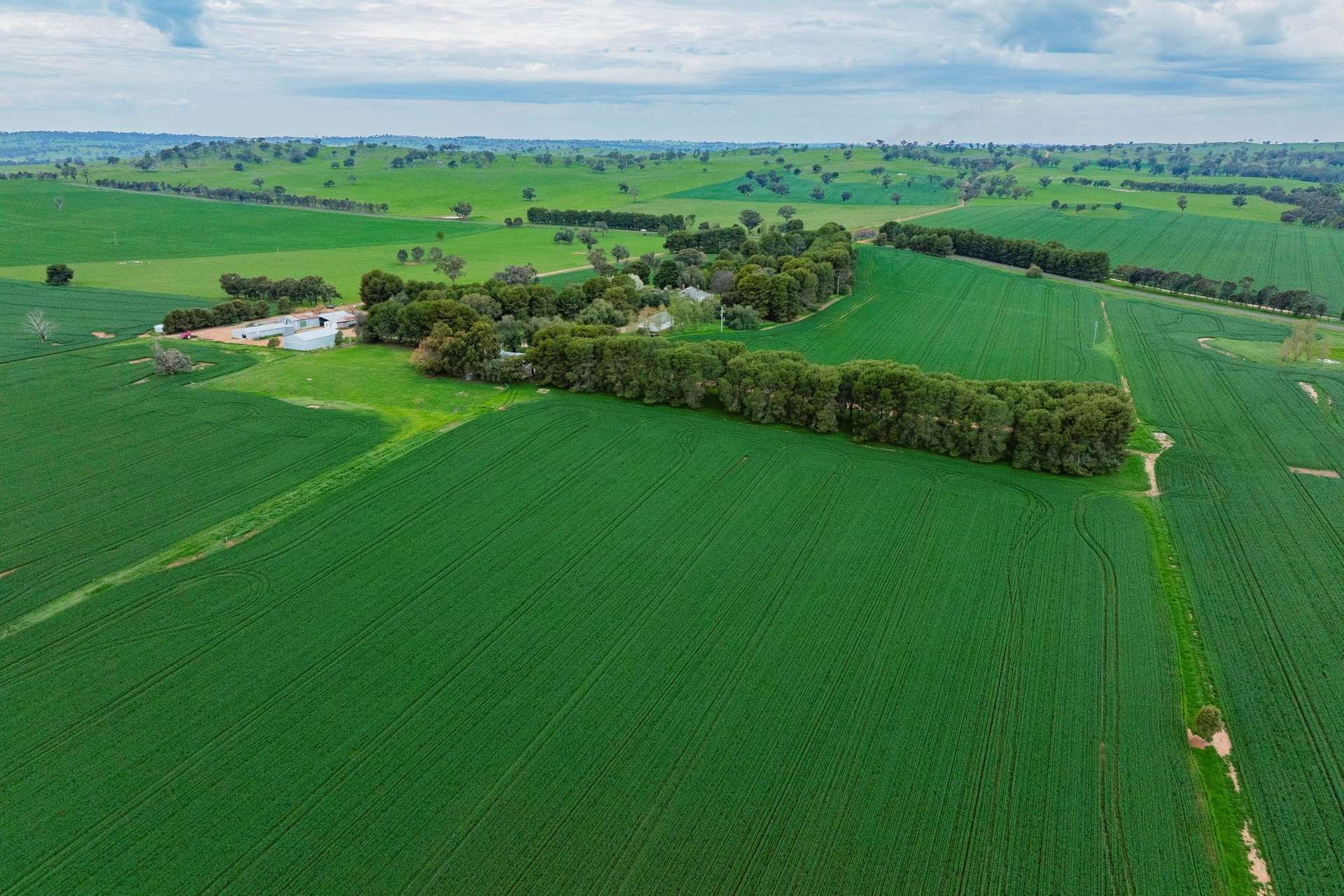 mixed farm for sale NSW