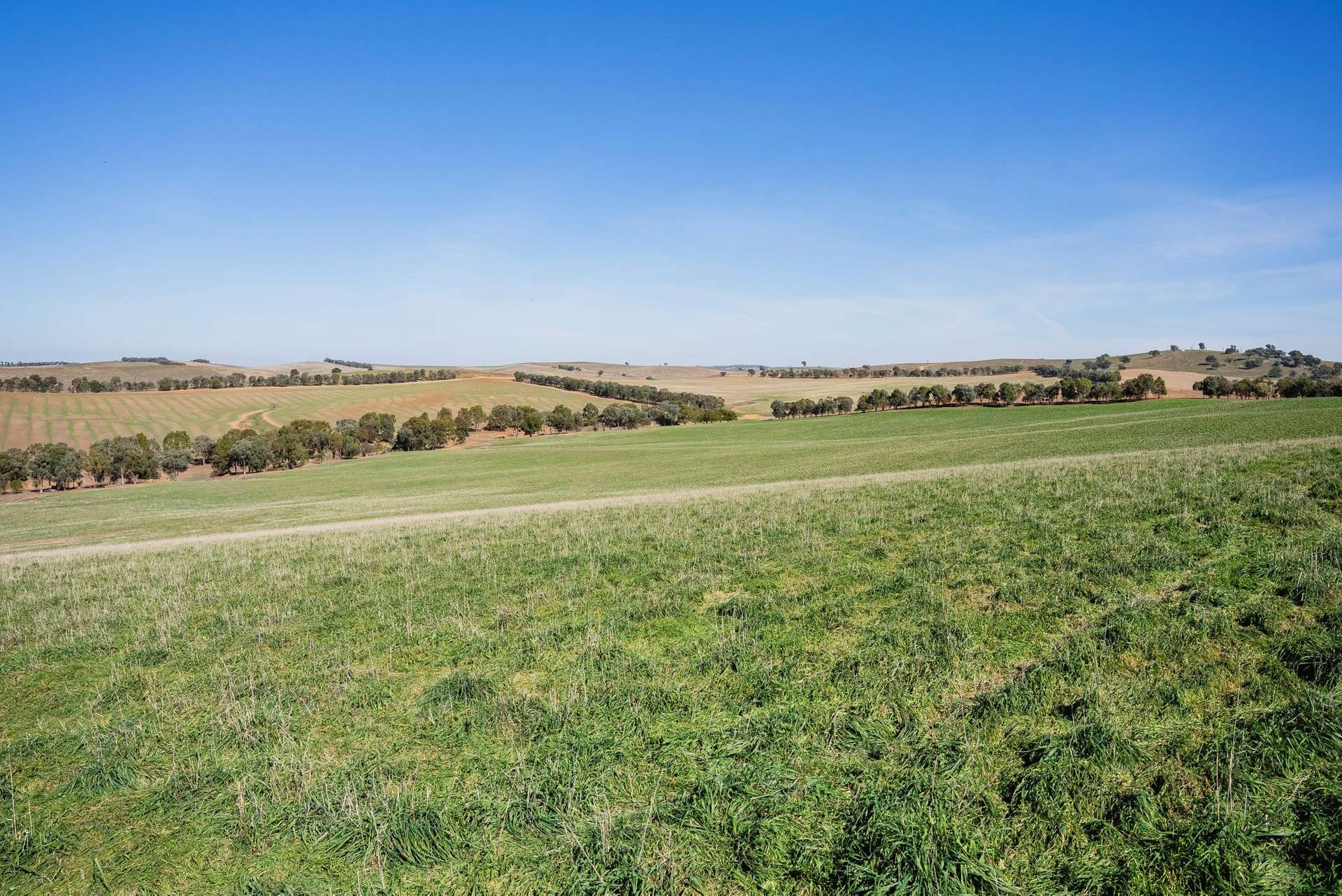 Mixed Farm For Sale NSW