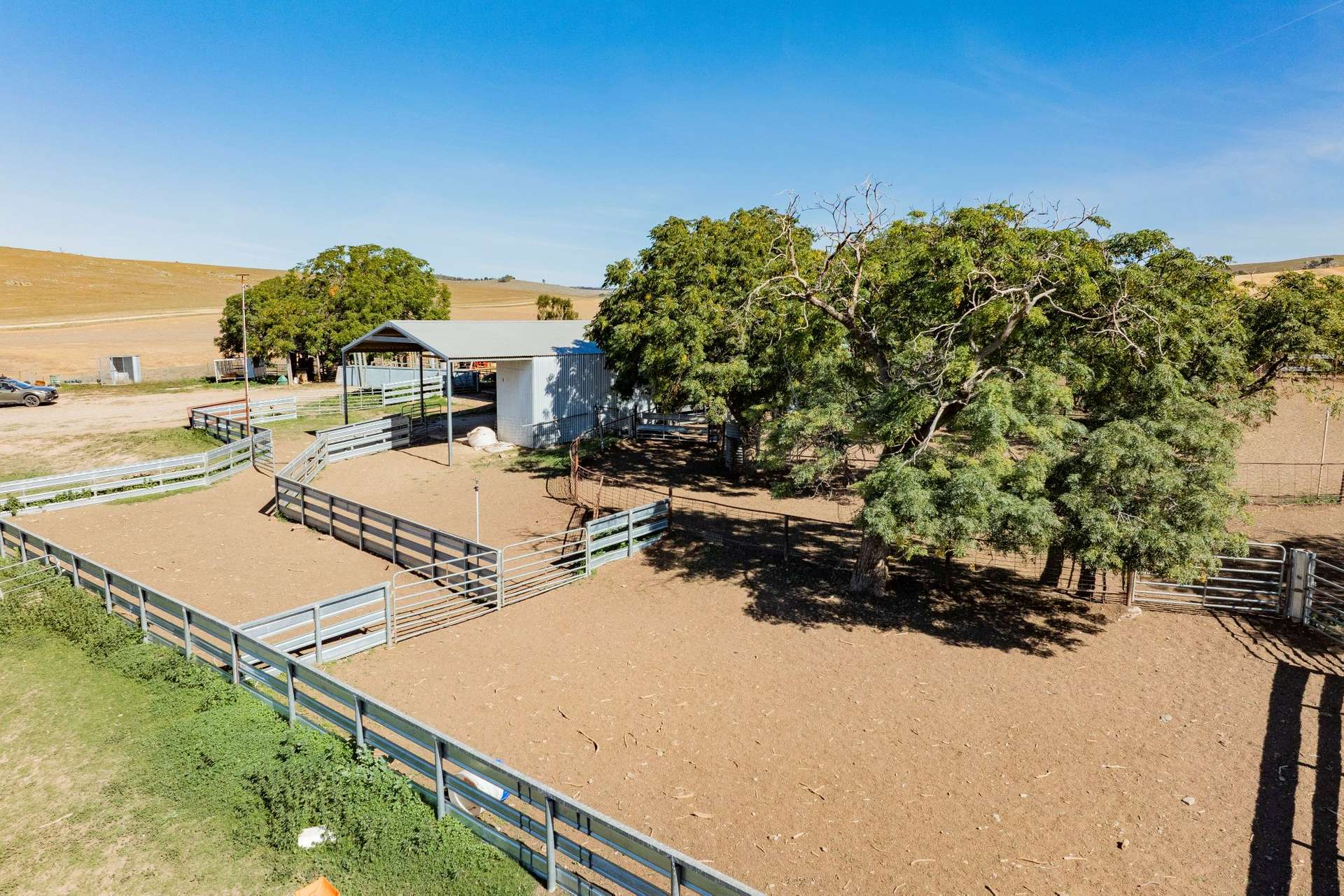 Mixed Farm For Sale NSW