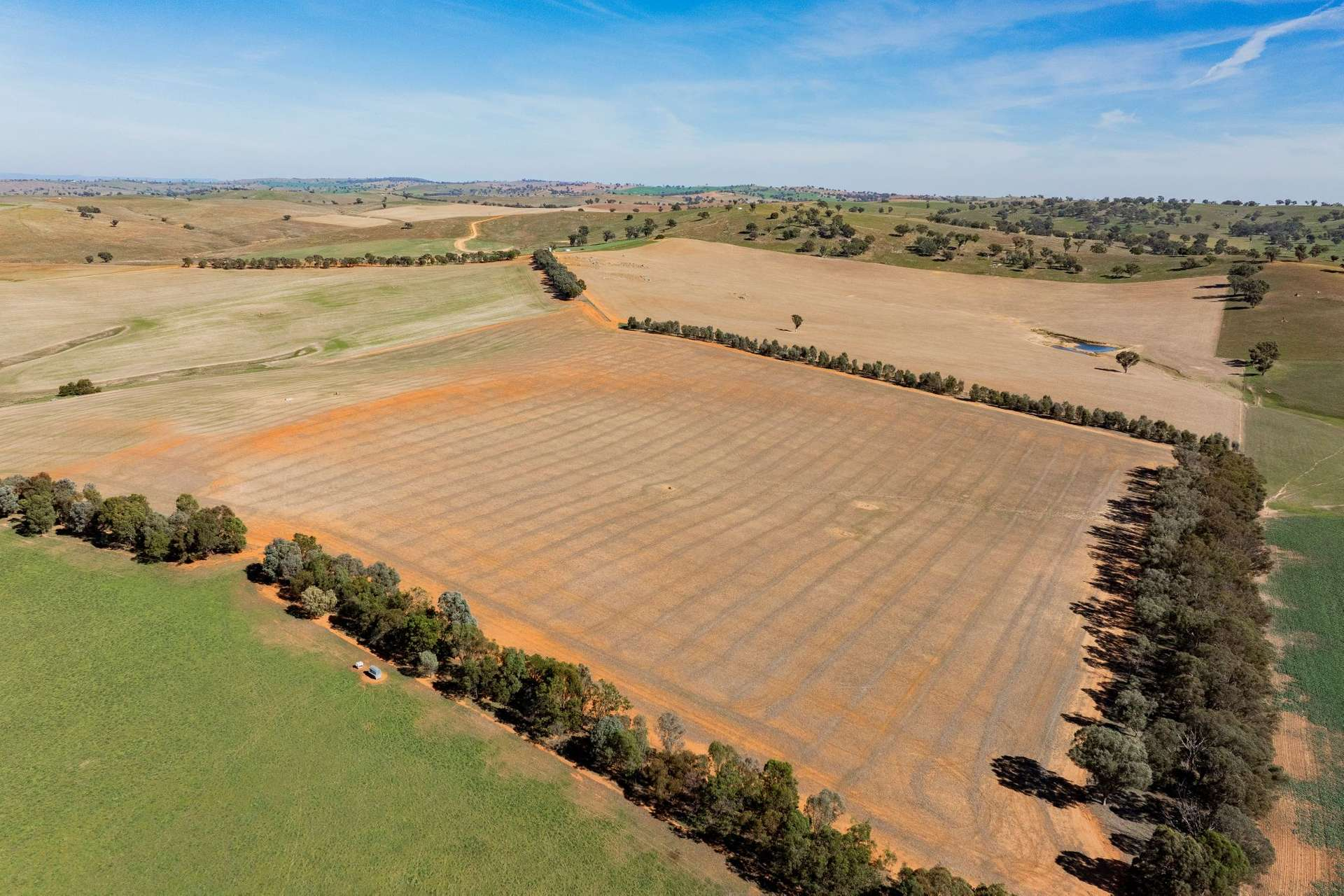 Mixed Farm For Sale NSW