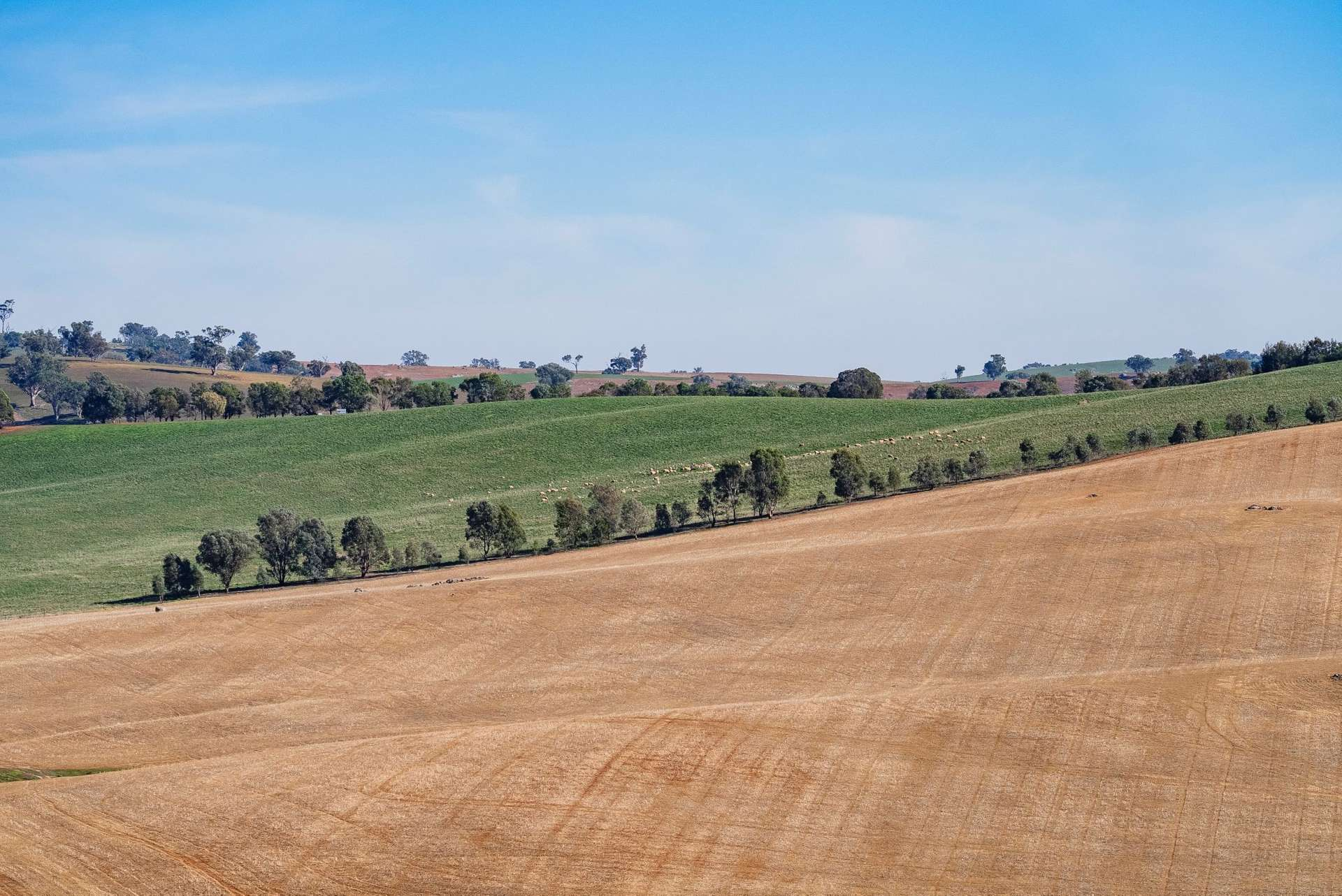 Mixed Farm For Sale NSW