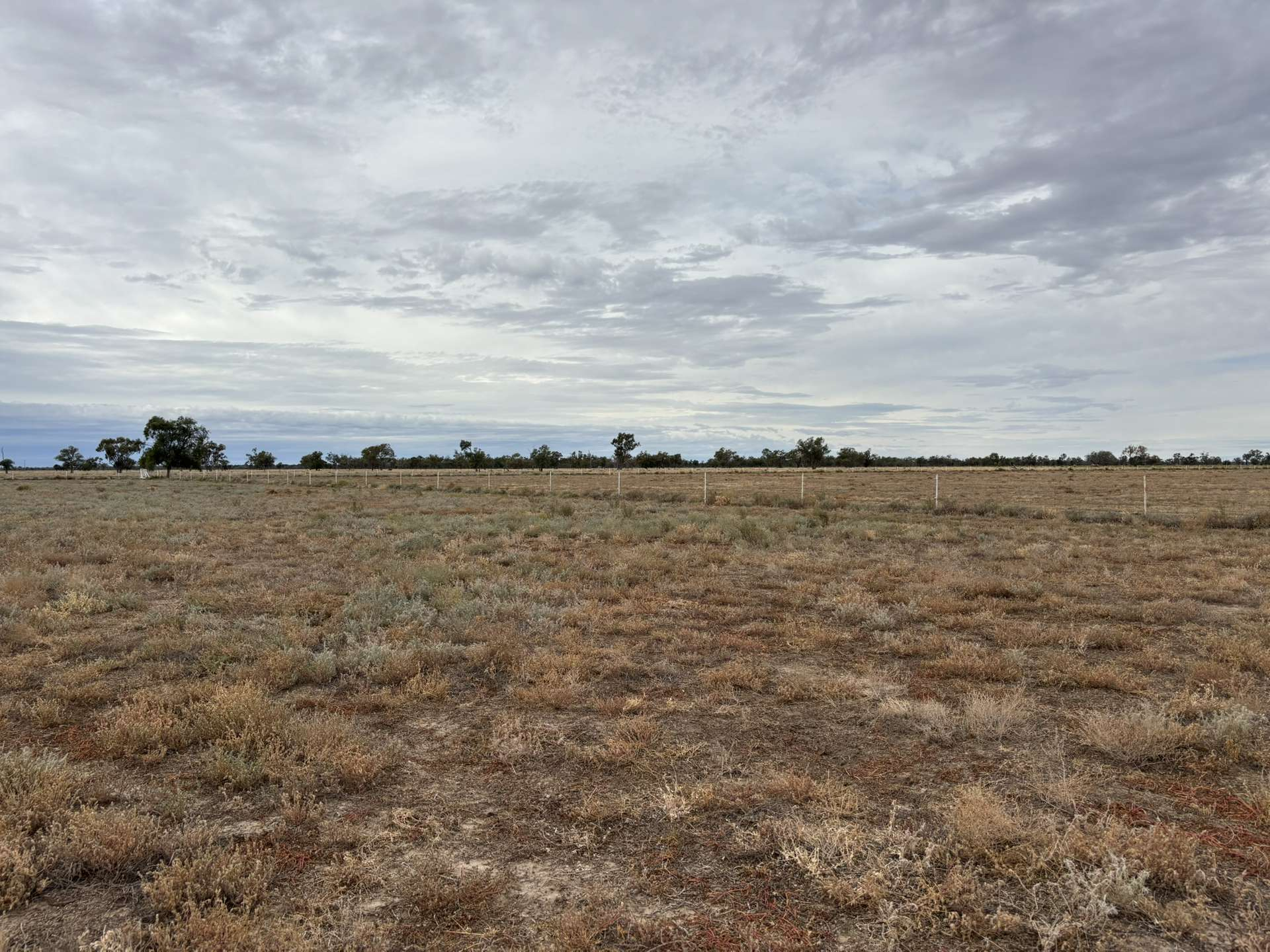 rural property for sale NSW