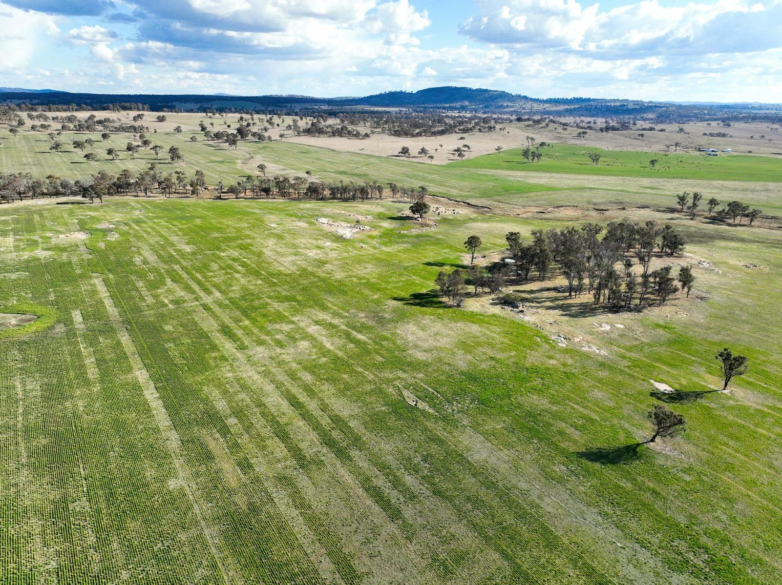 Rural Property For Sale NSW