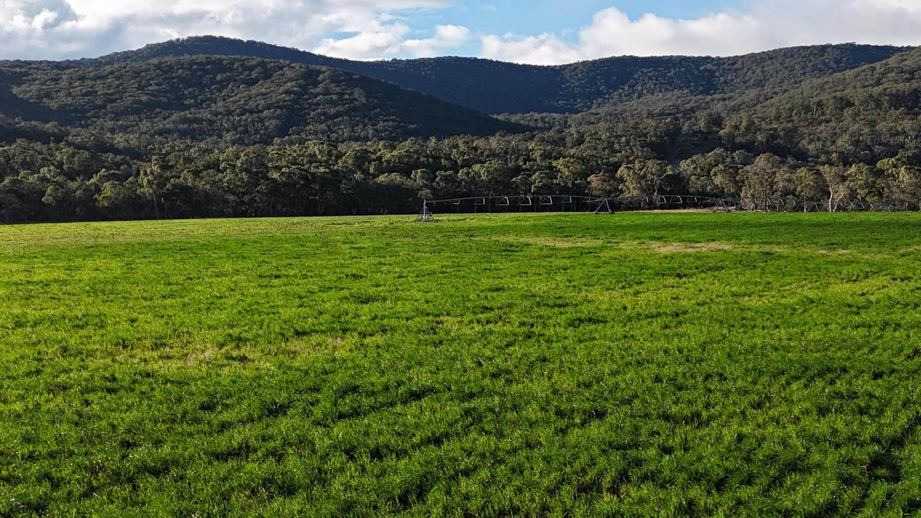 This rural property for sale NSW