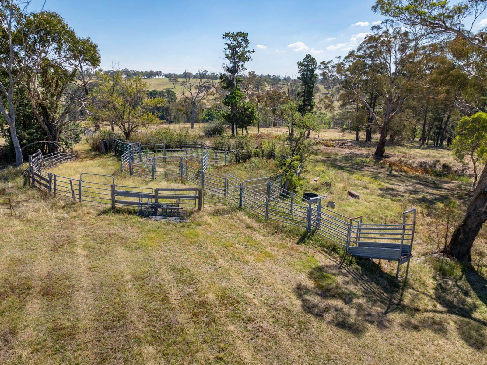 rural property for sale NSW