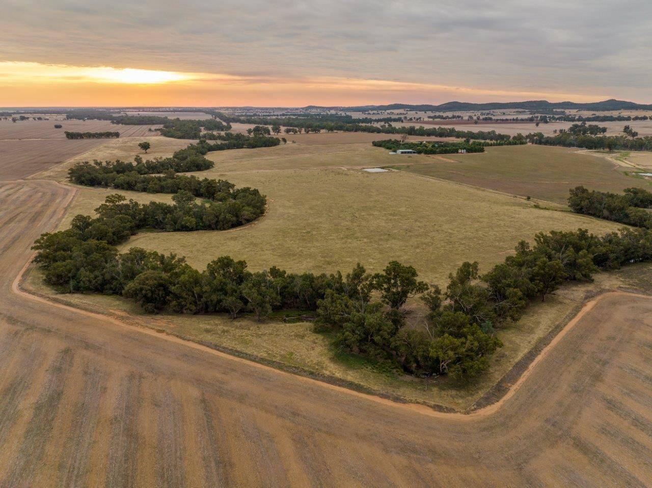 Farm For Sale Riverina