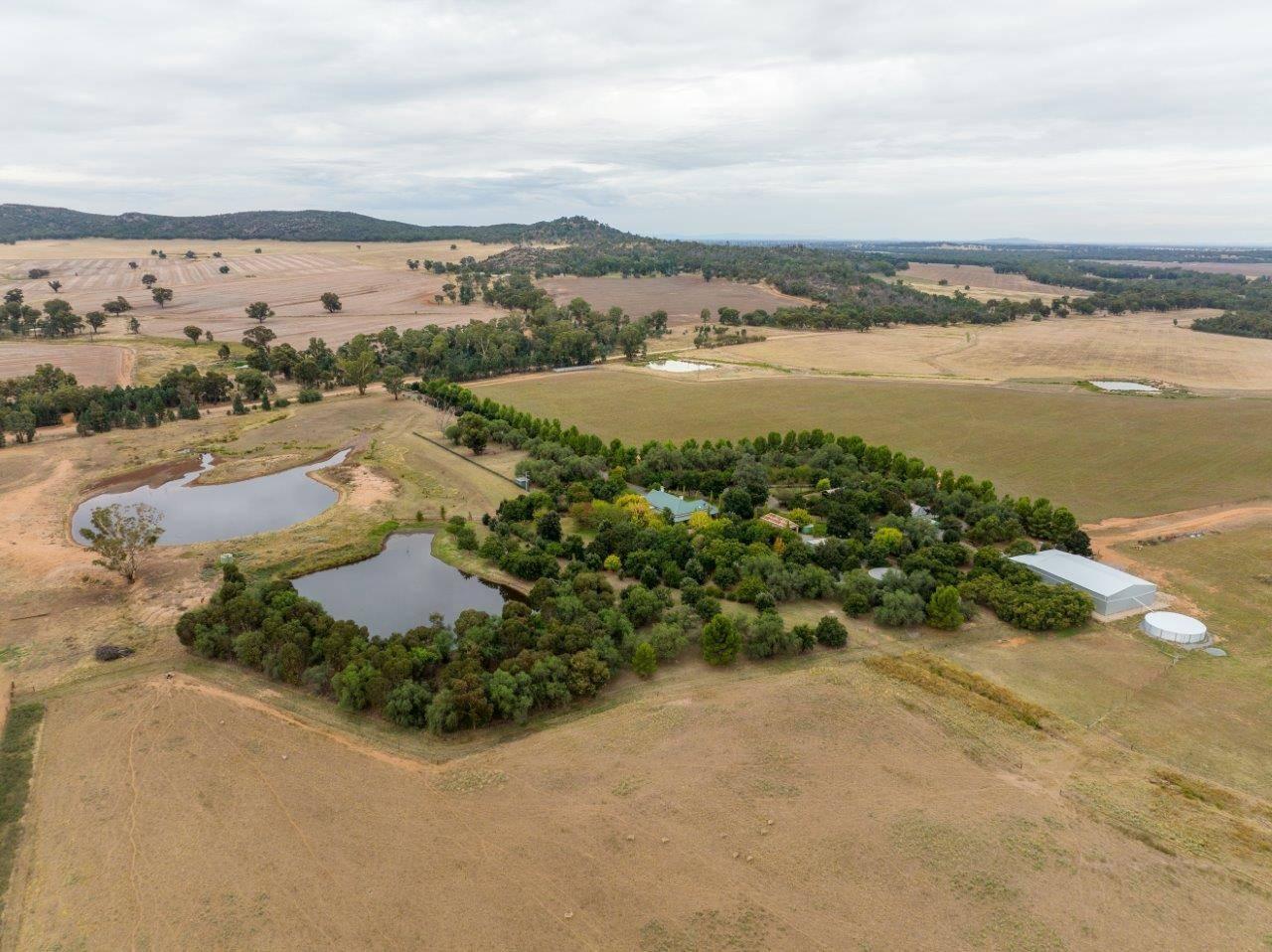 Farm For Sale Riverina