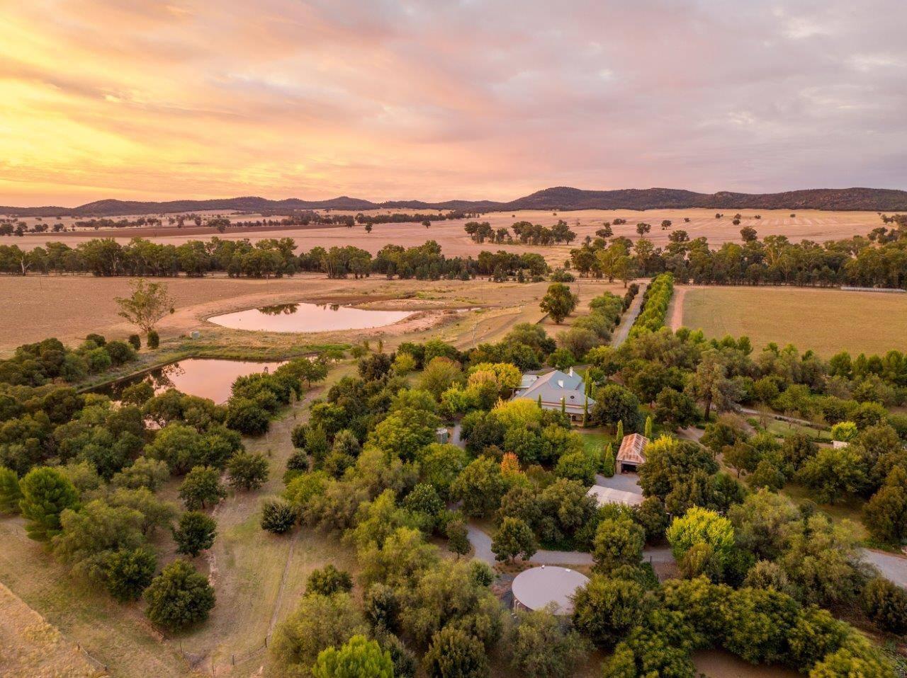 Farm For Sale Riverina