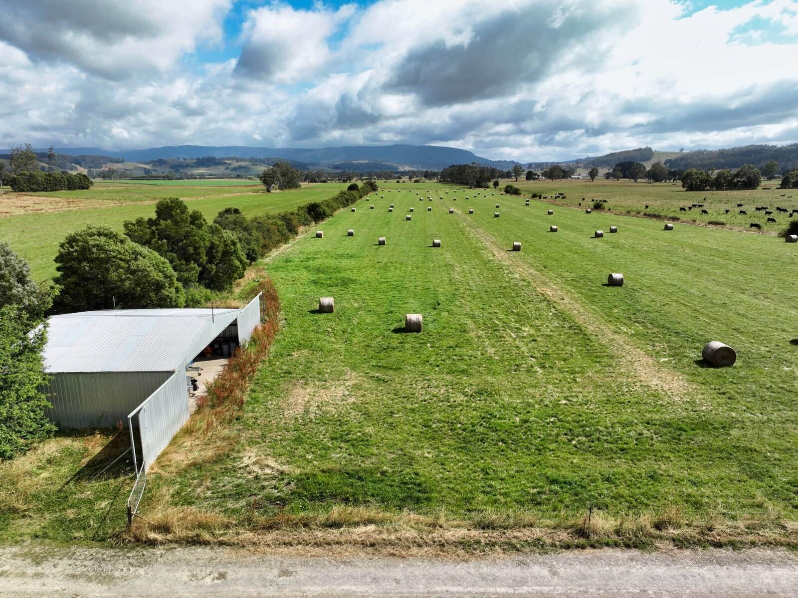 Dairy Farm For Sale Tasmania