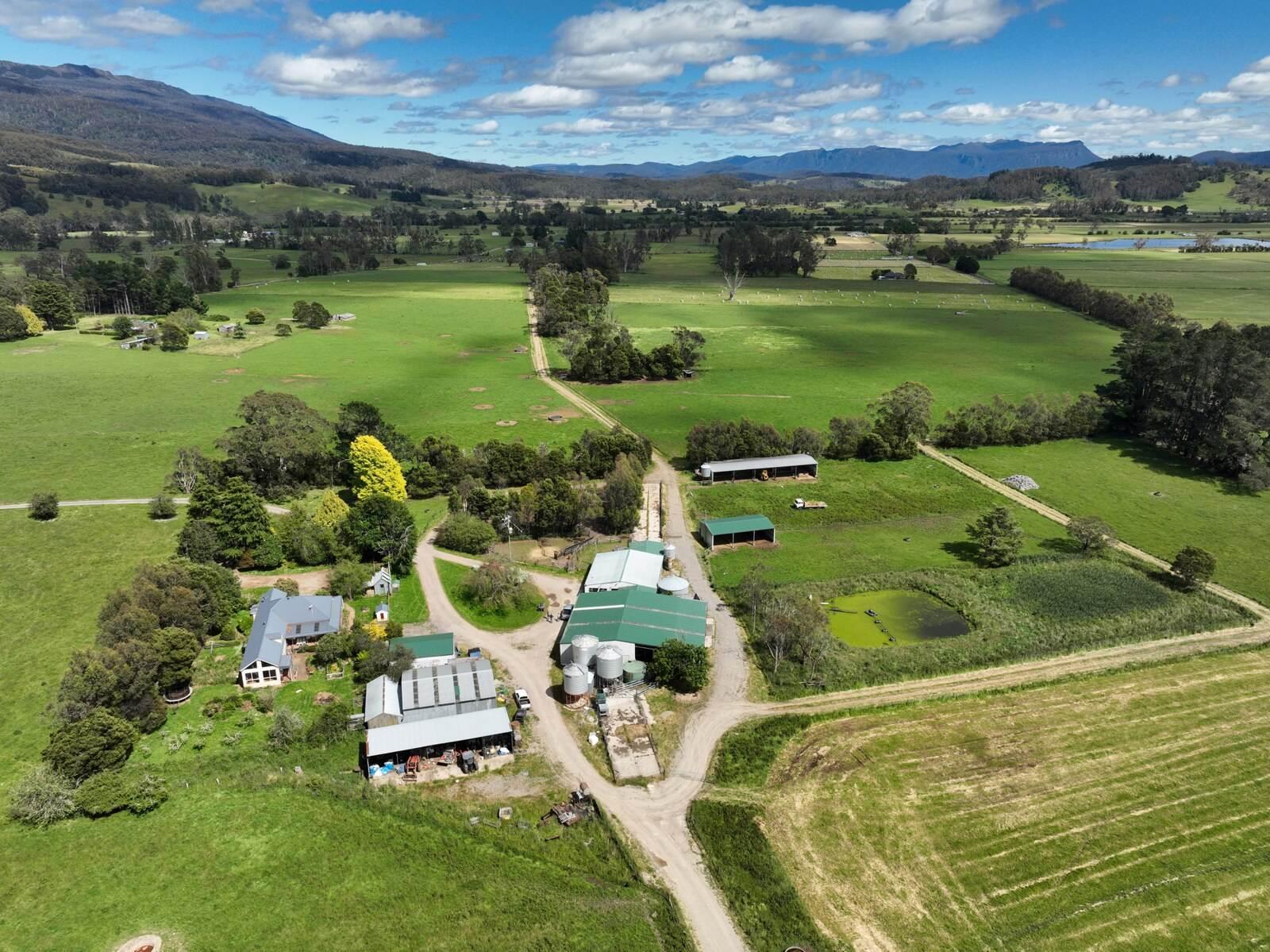 Dairy Farm For Sale Tasmania