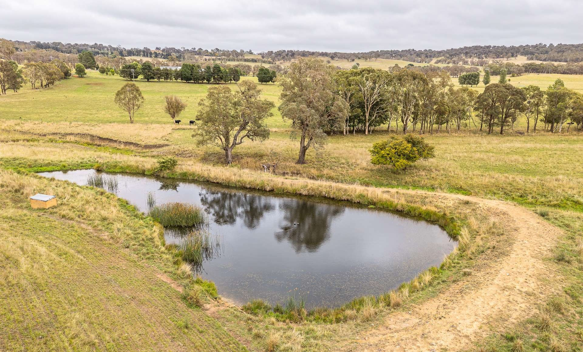 rural property for sale NSW