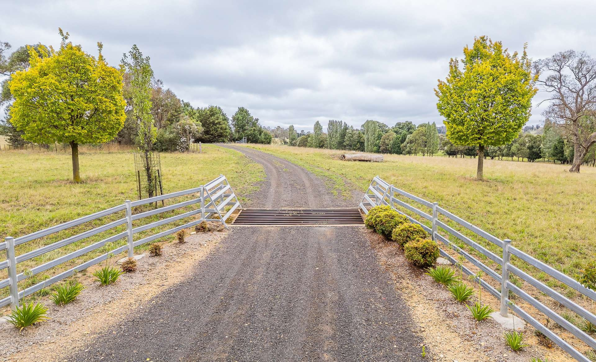rural property for sale NSW