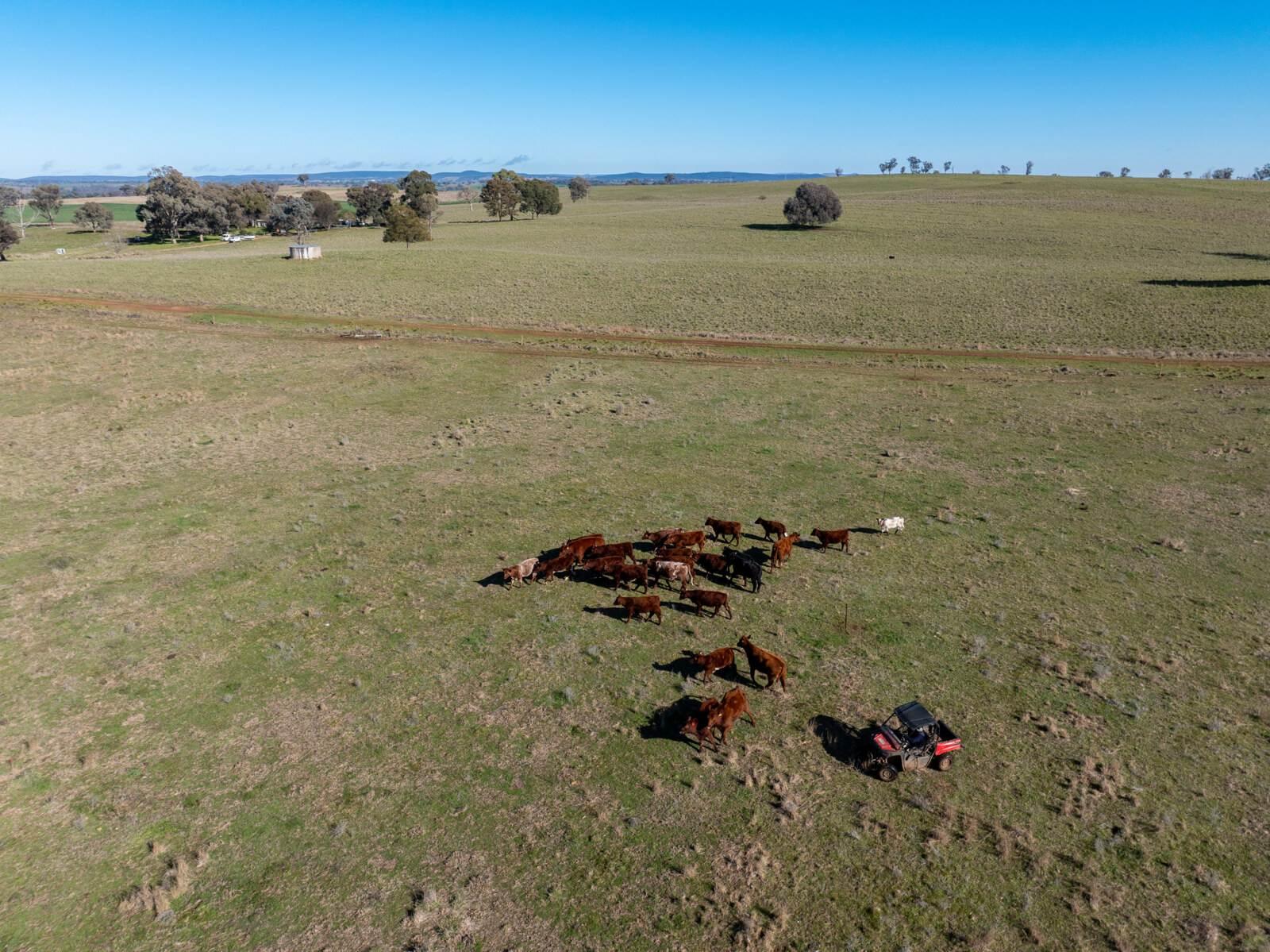 rural property for sale NSW