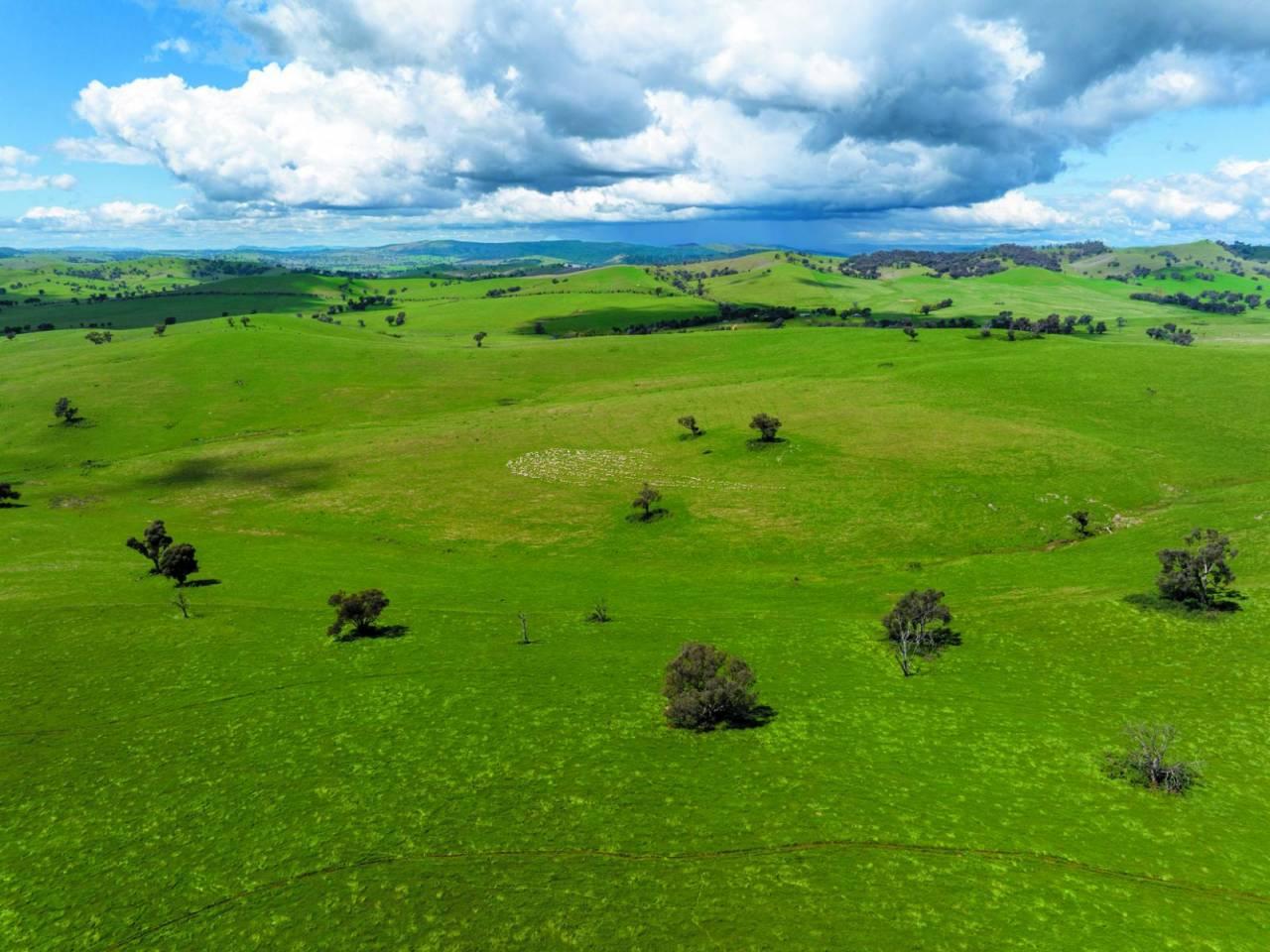 Rural Property For Sale Gundagai NSW 