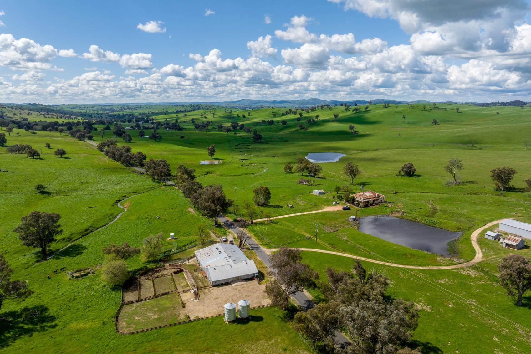 Top Echelon Gundagai NSW Rural Property For Sale Via Auction