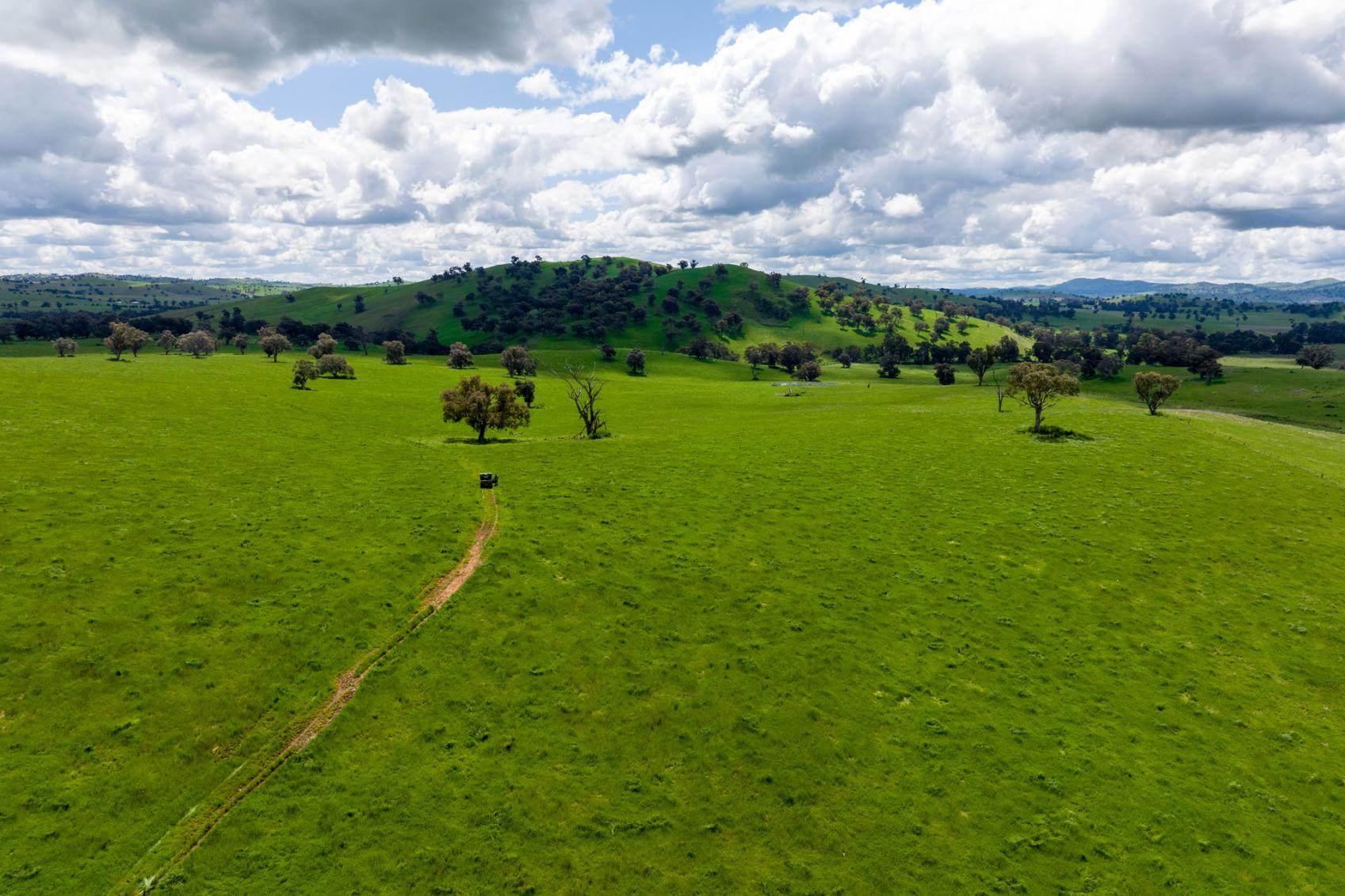 Rural Property For Sale Gundagai NSW 