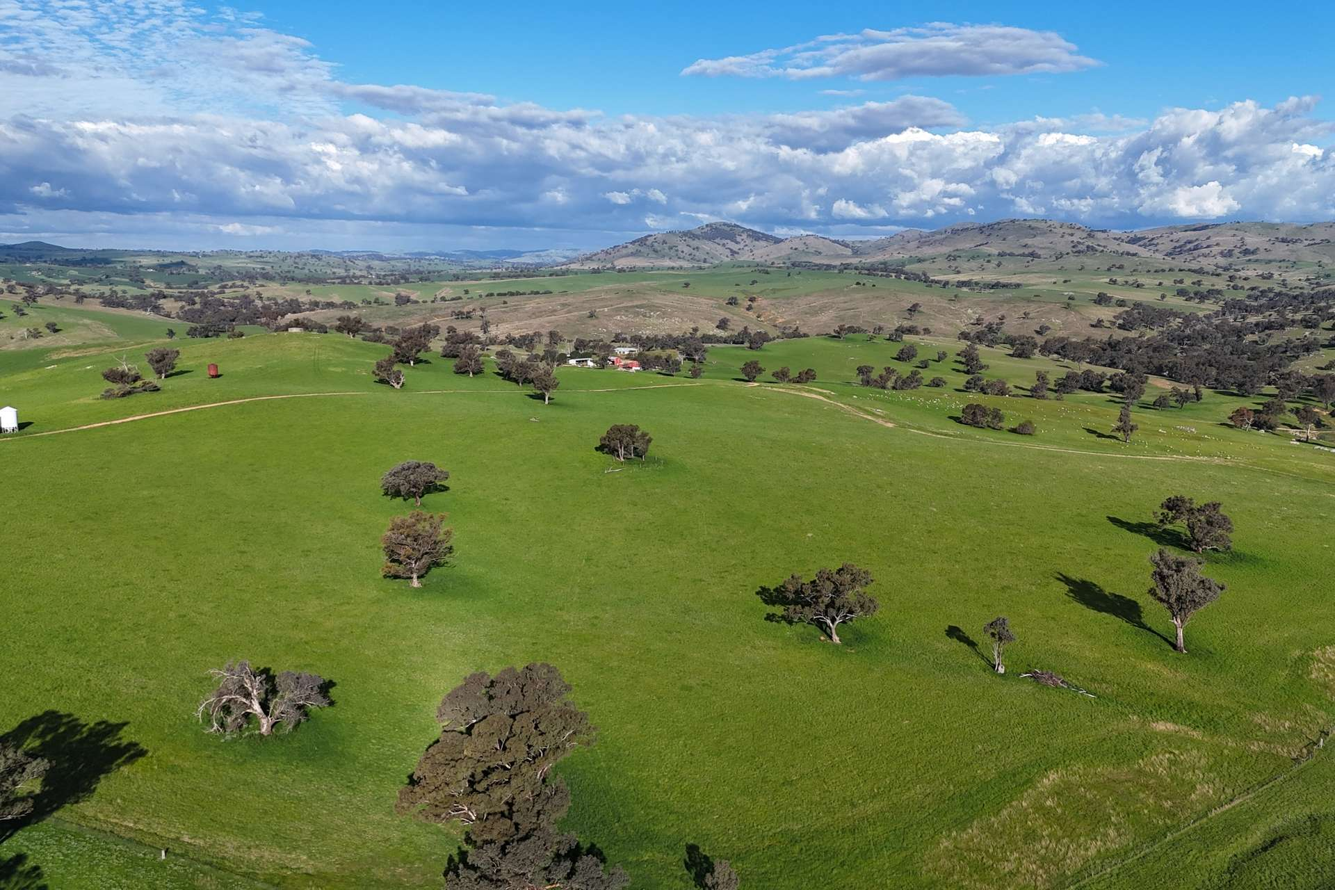 Mixed Farm For Sale NSW