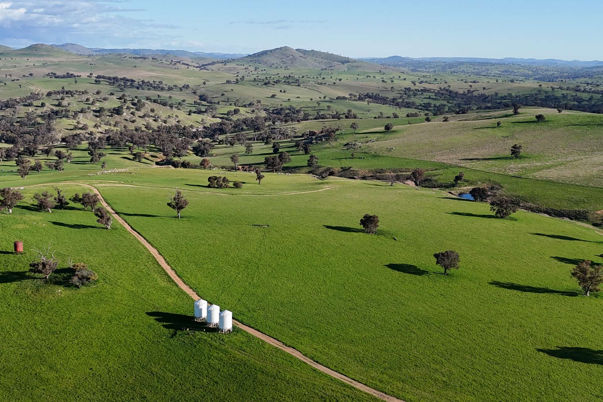 Mixed Farm For Sale NSW