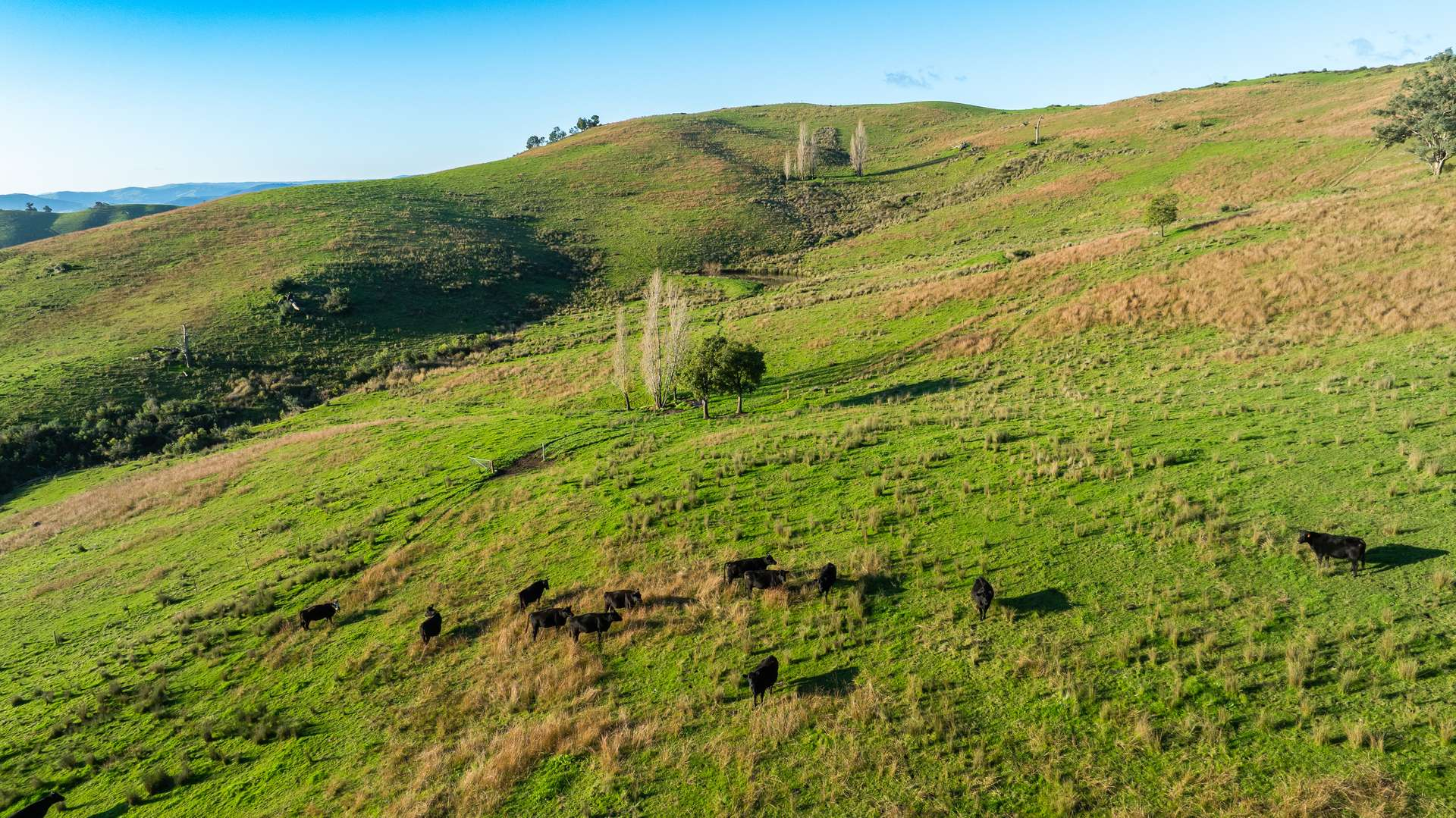 rural lifestyle property for sale VIC