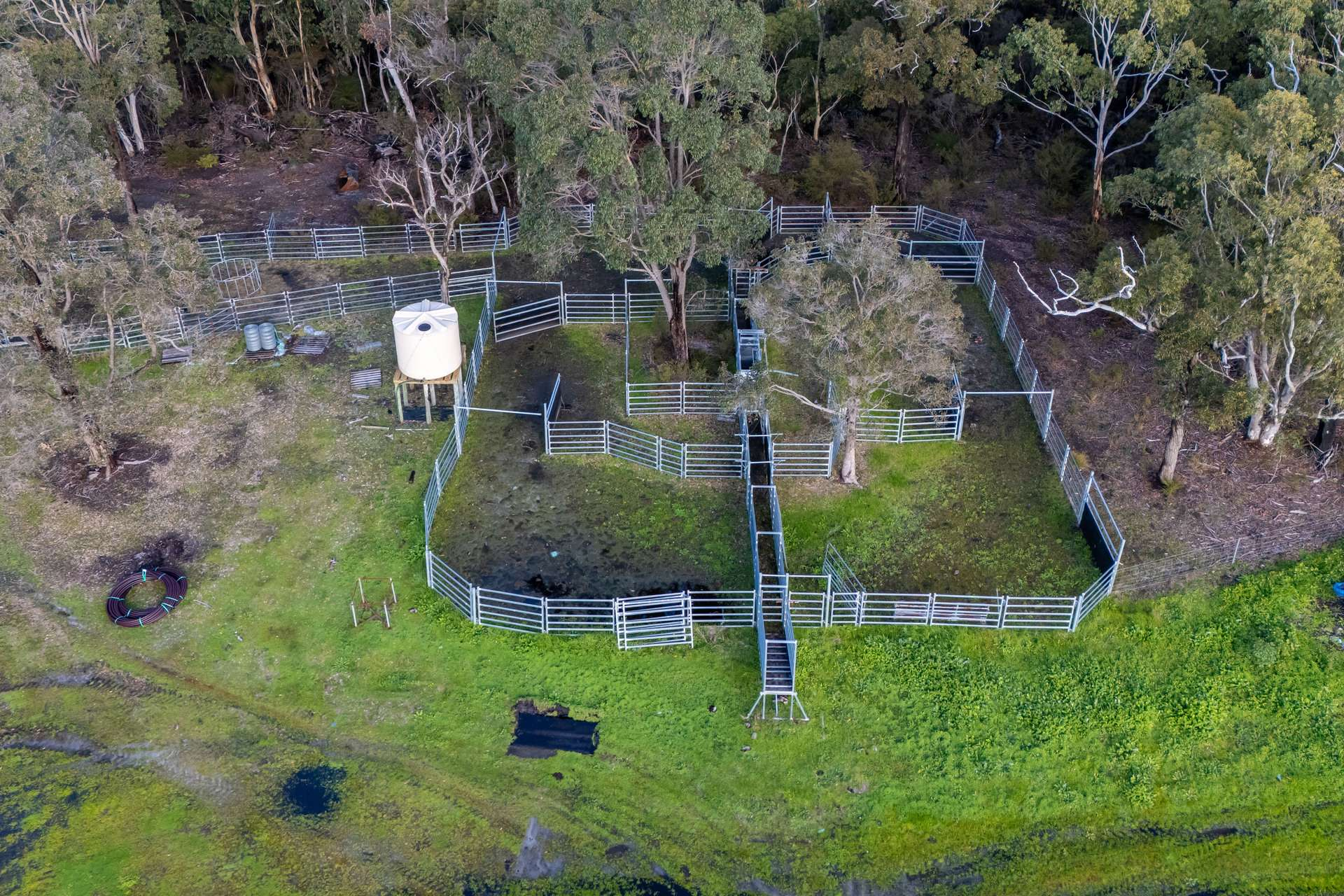 cattle property for sale WA 