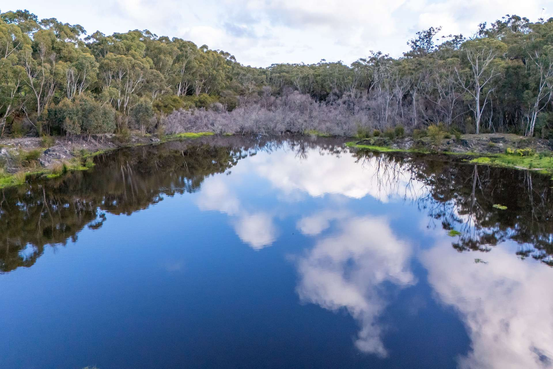 Cattle Property For Sale WA