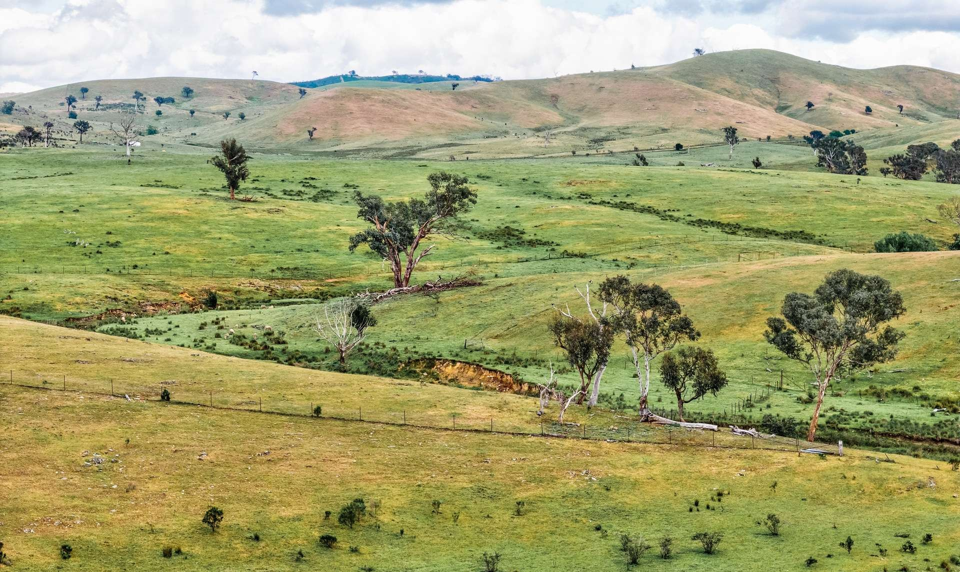 rural property for sale NSW