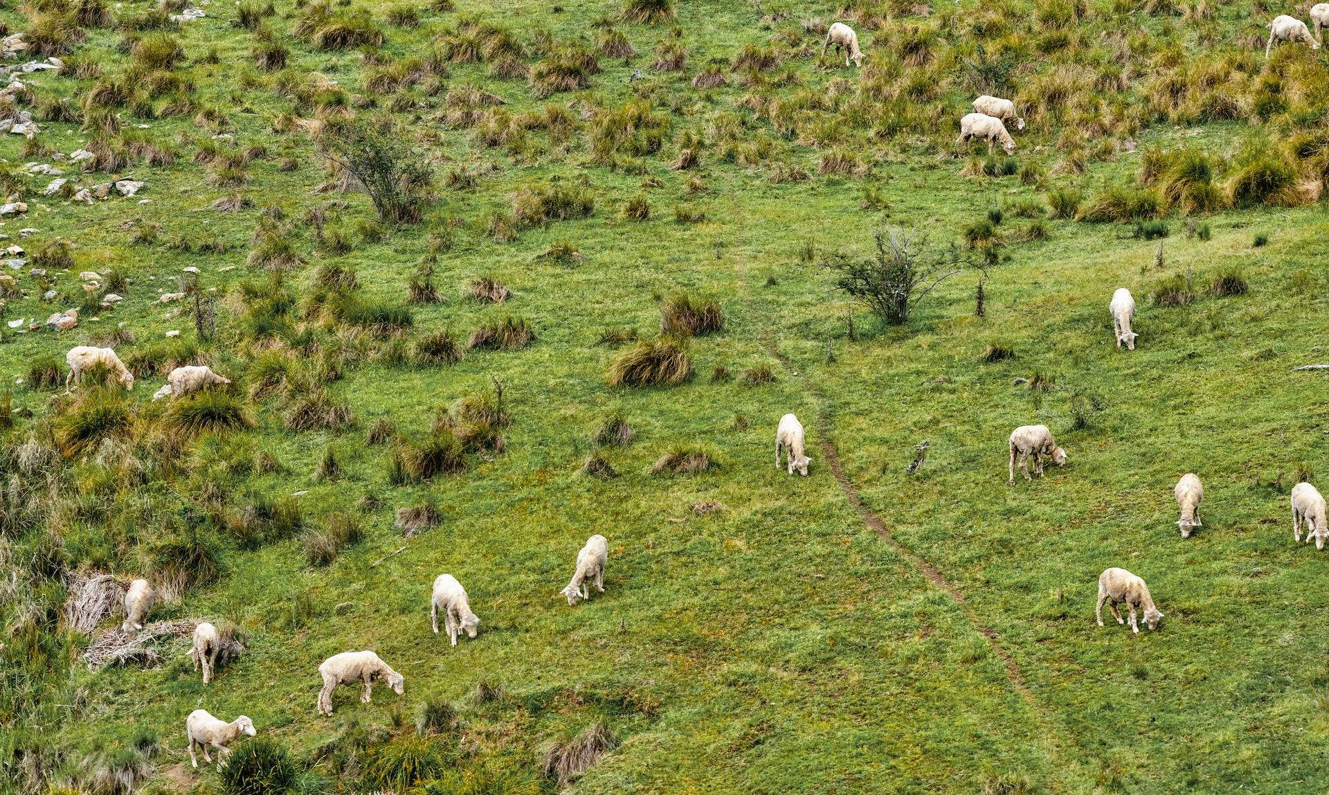 rural property for sale NSW