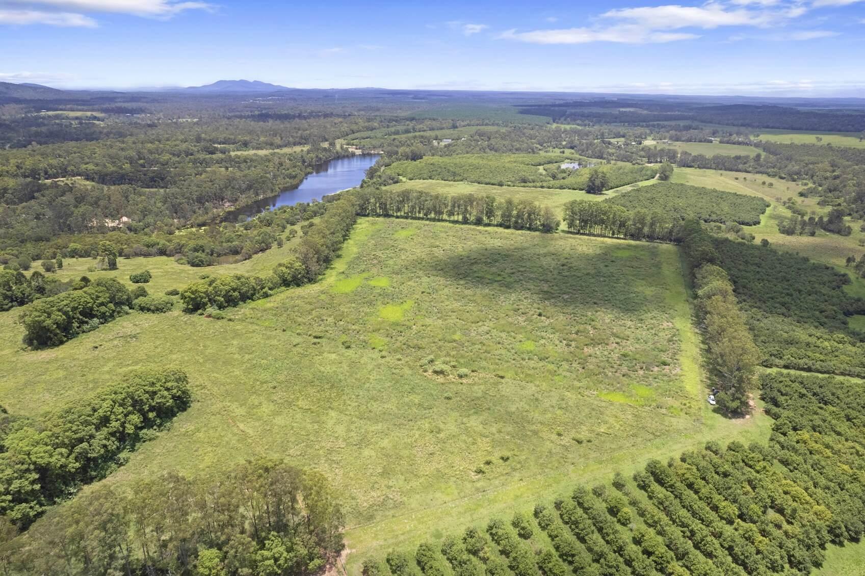 Macadamia Farm For Sale Queensland 