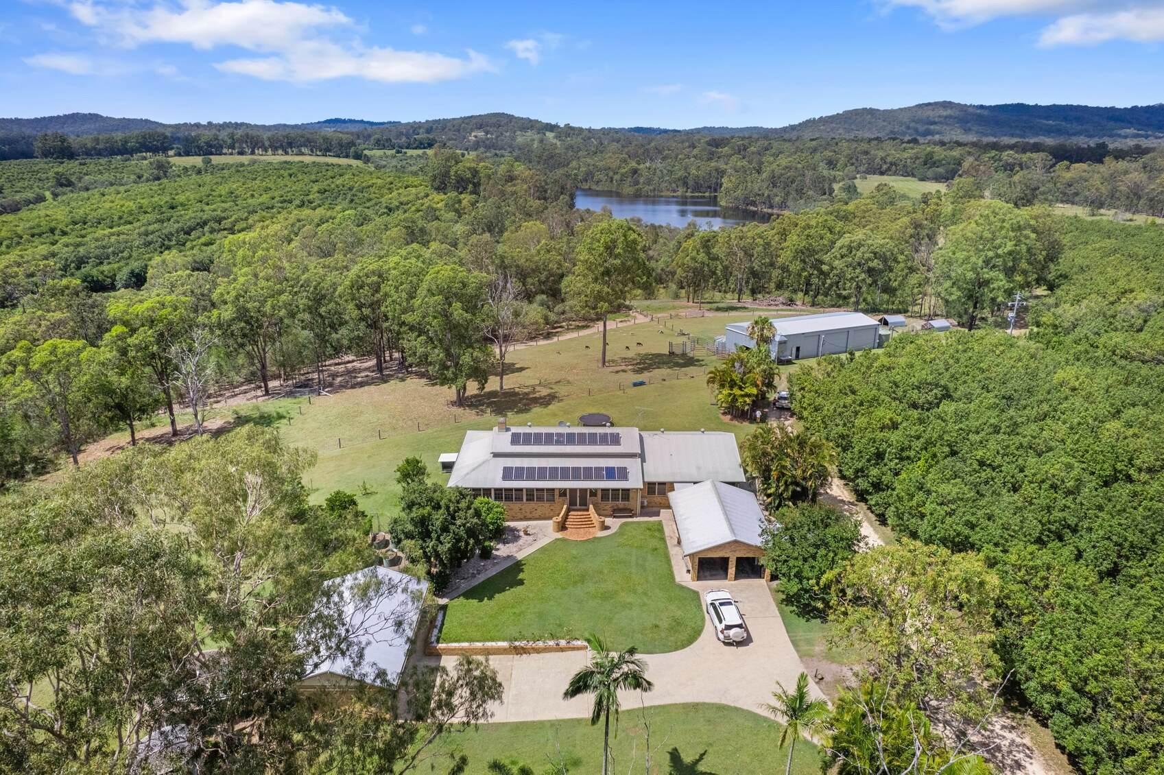 Macadamia Farm For Sale Queensland 